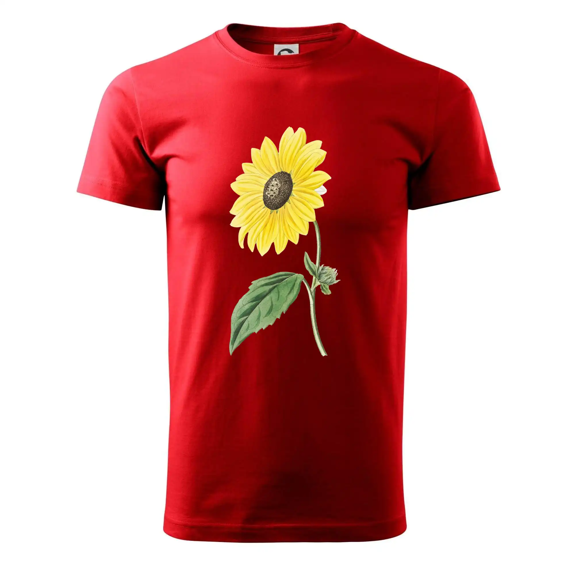 Slunečnice otočená