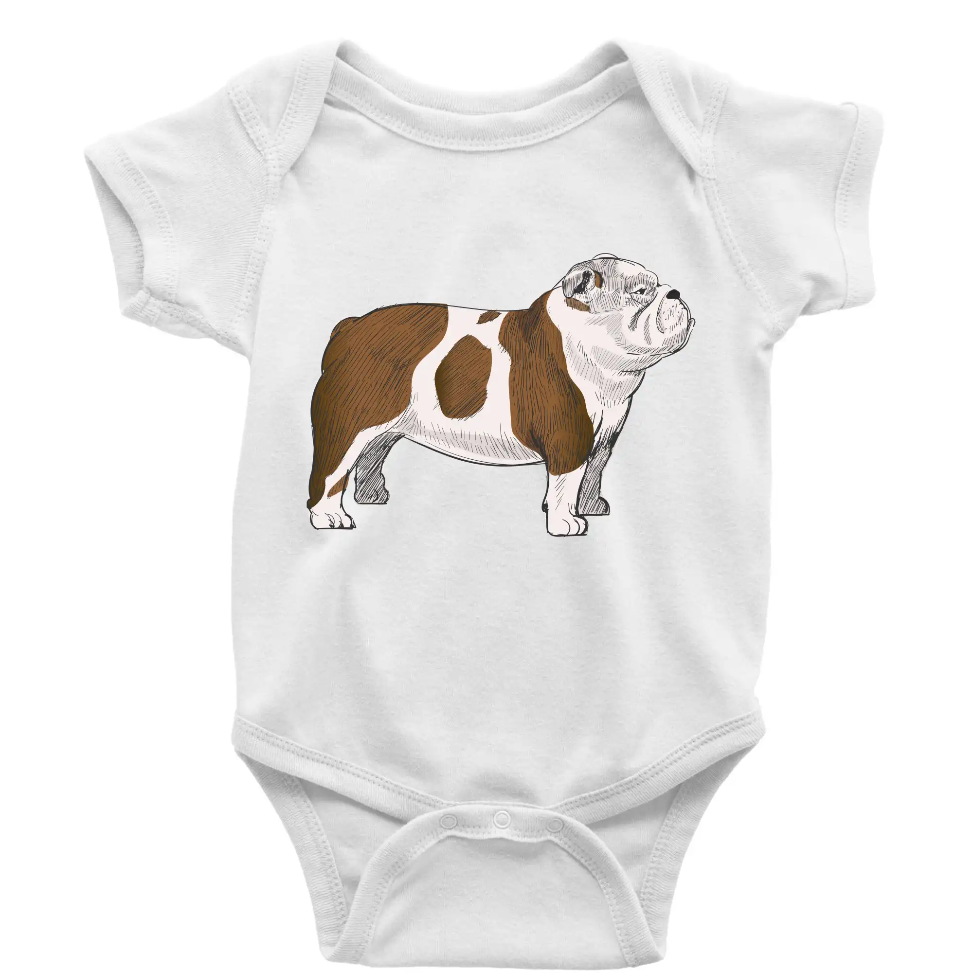 Vintage English bulldog