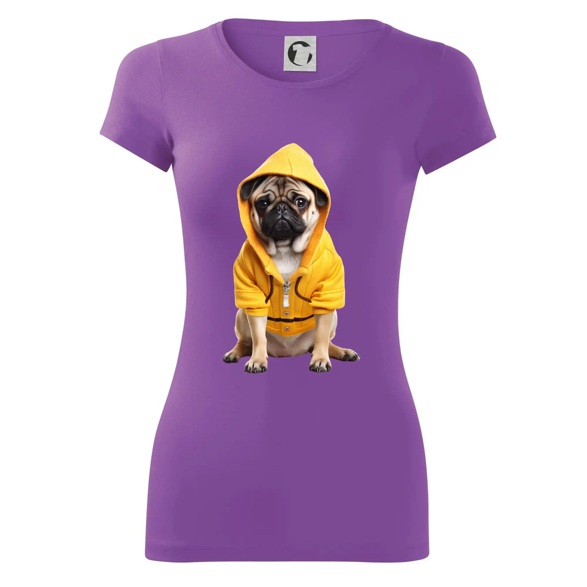 Mops v mikině