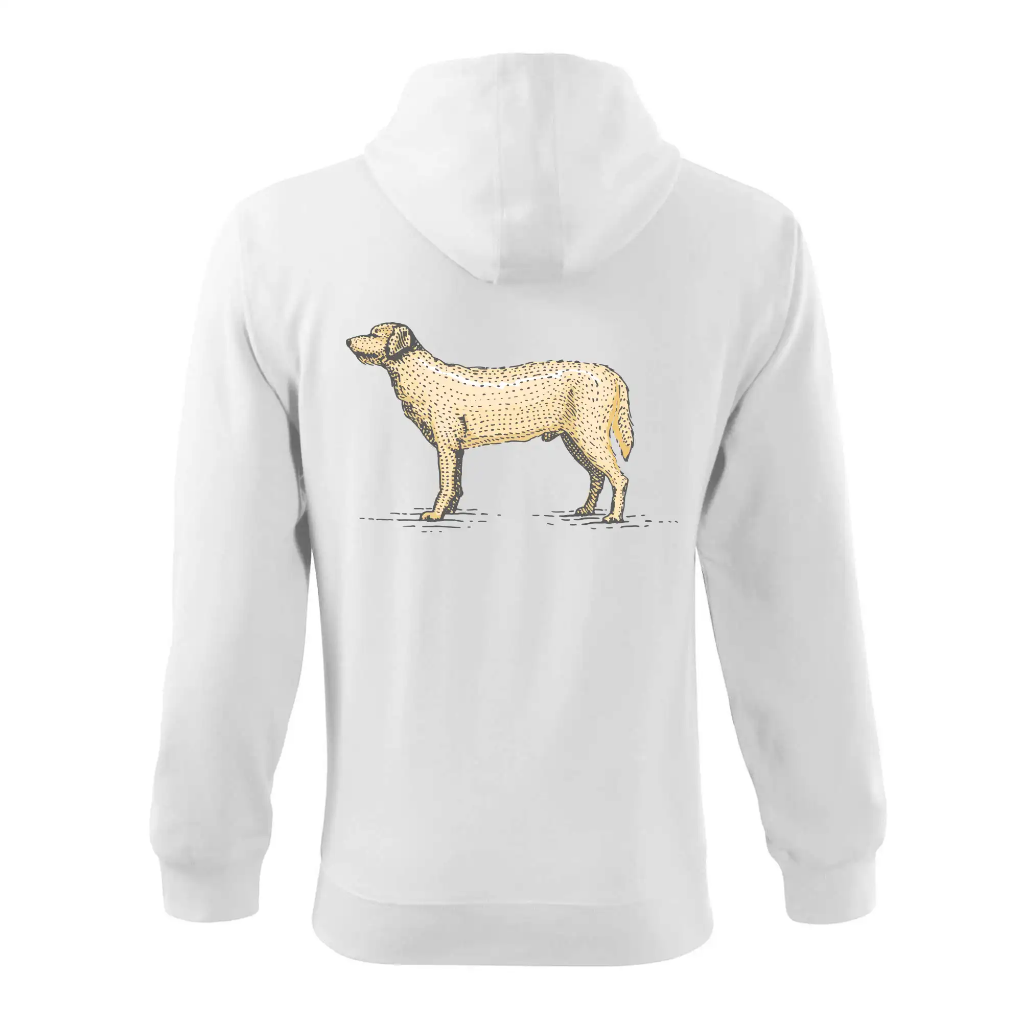 Vintage Labrador