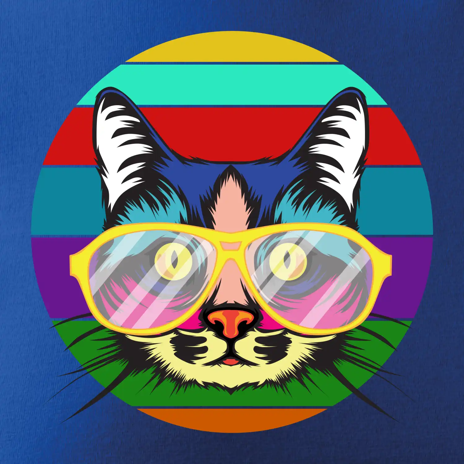 Kočka při barevném západu