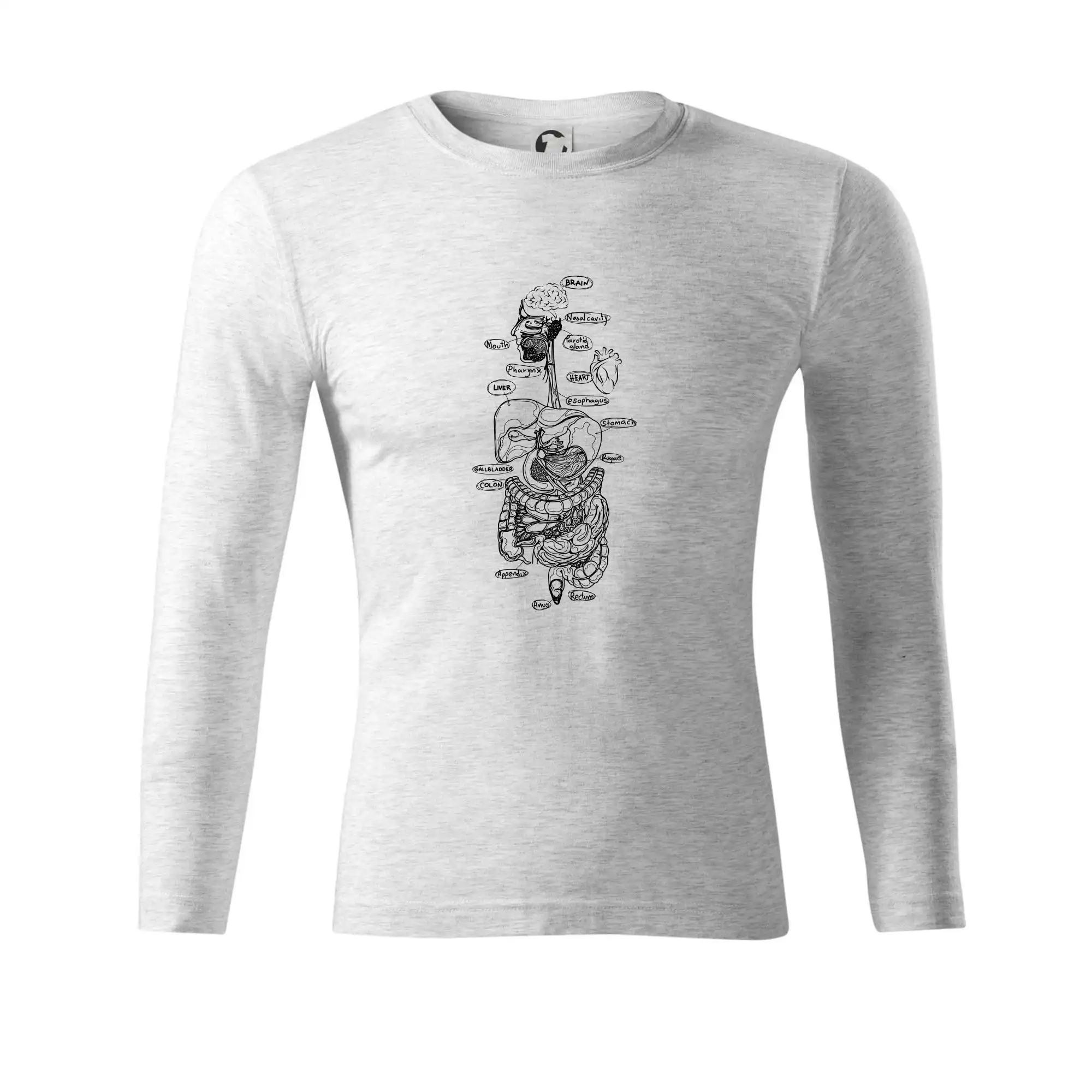 Skica lidských orgánů