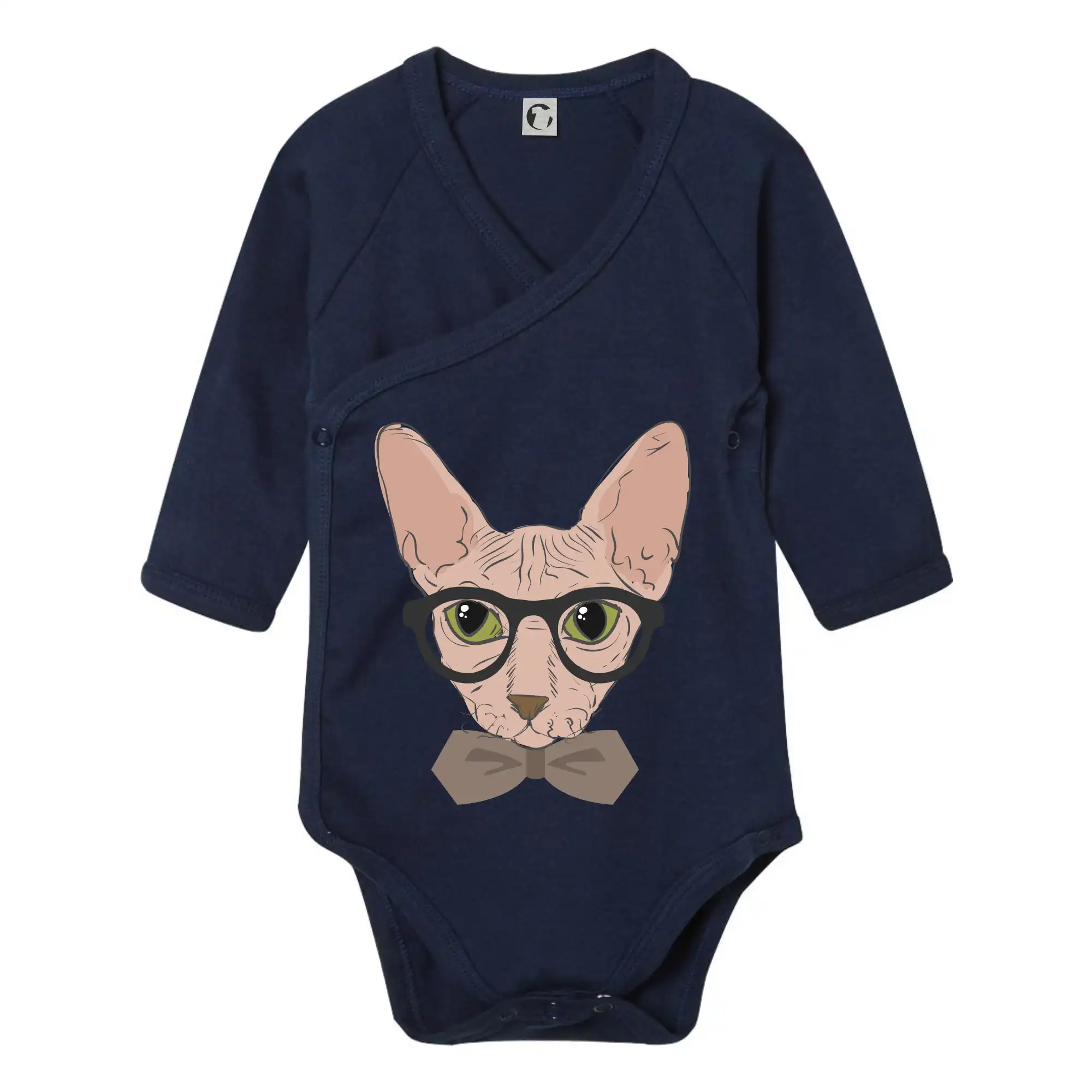 Hipster sphynx
