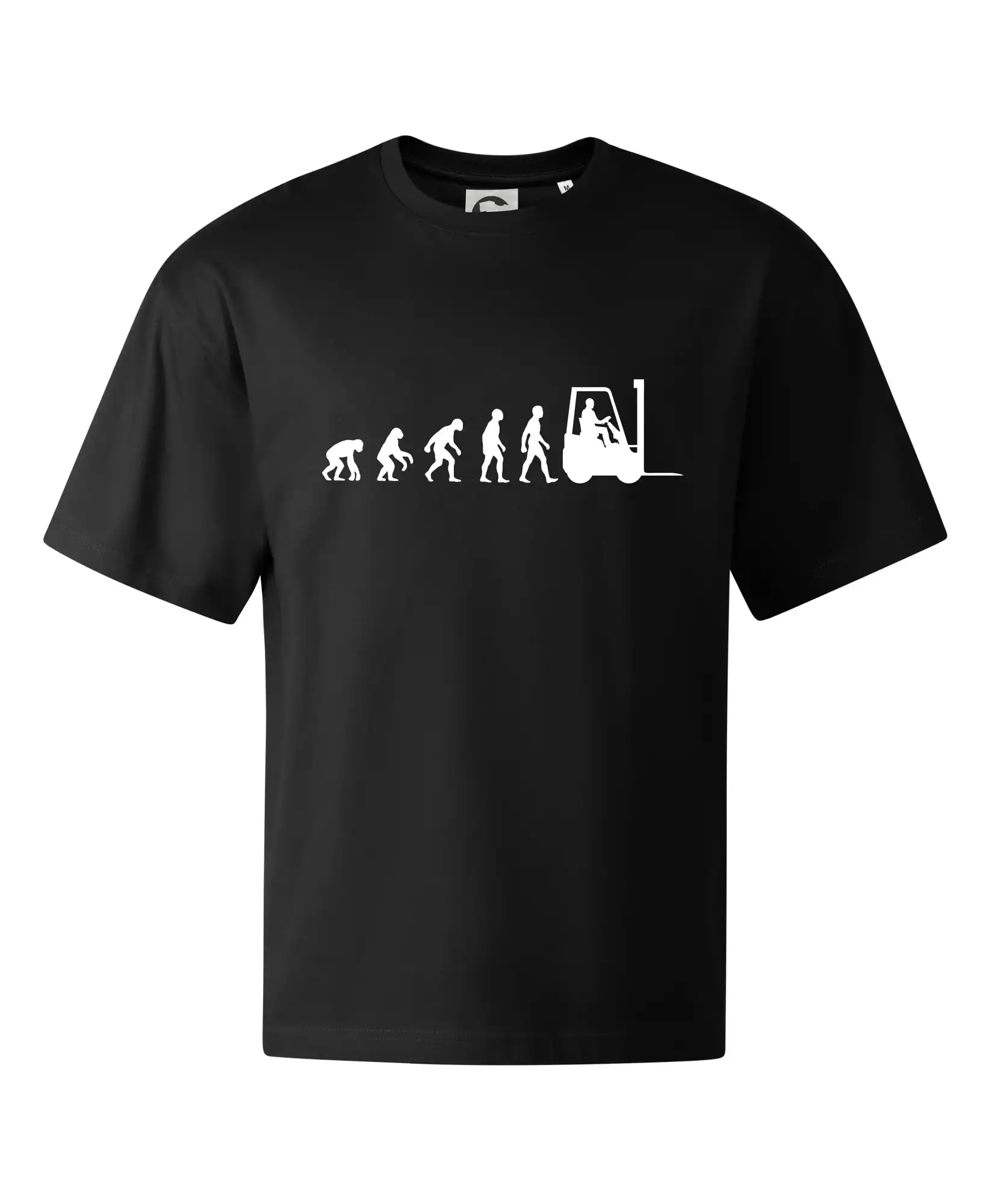 Evoluce ještěrka