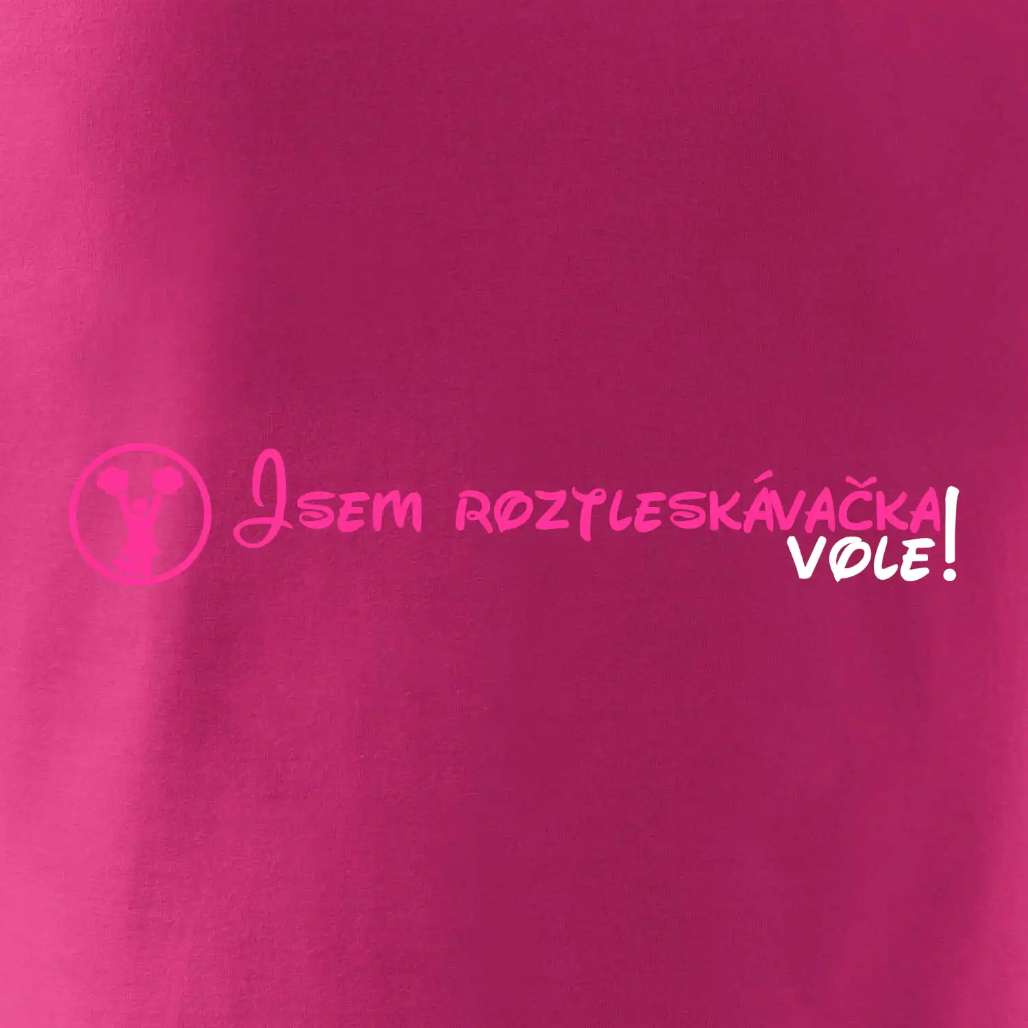 Jsem roztleskávačka! Vole!