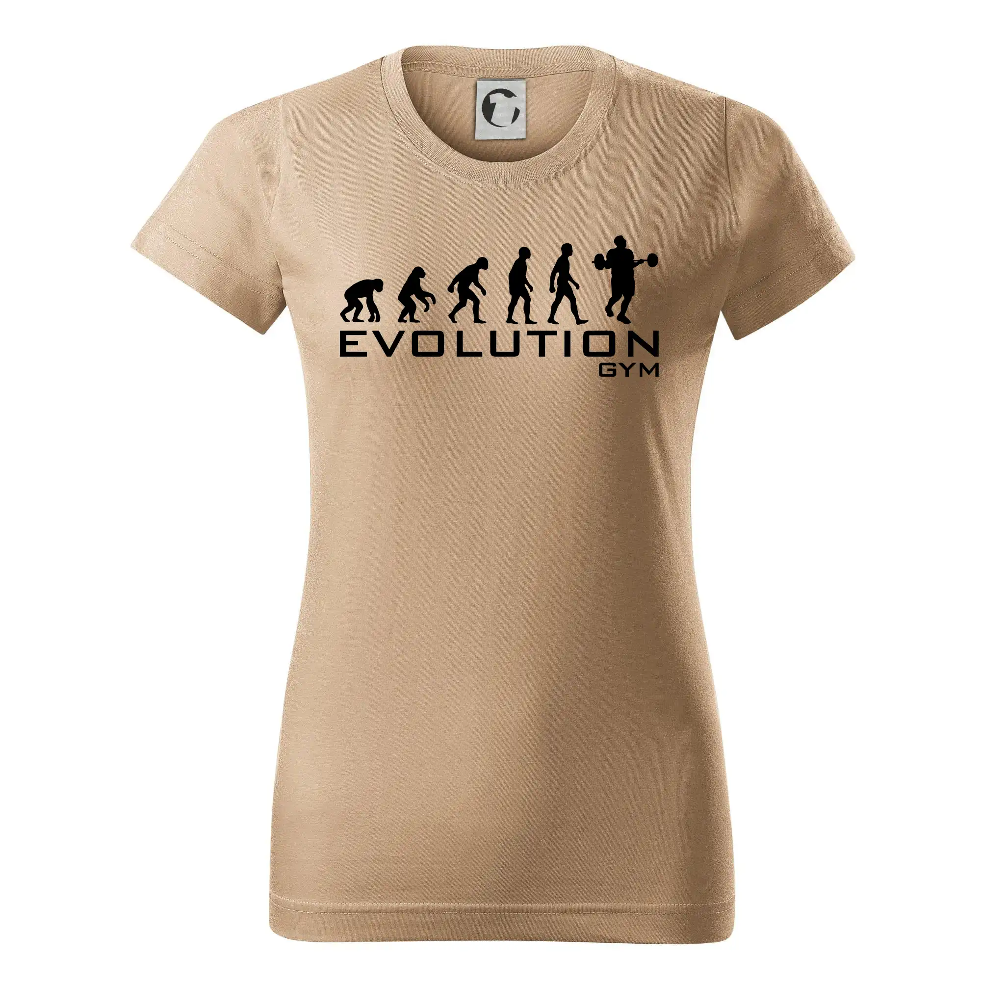 Evoluce Gym