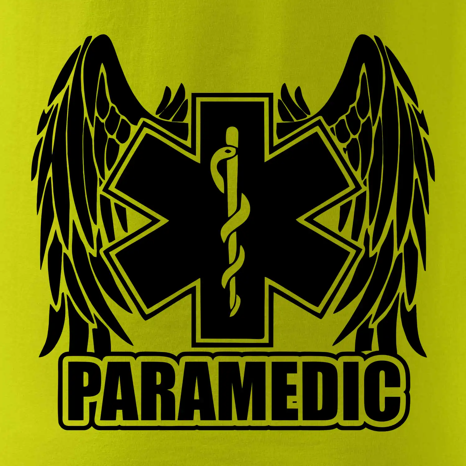 Paramedic