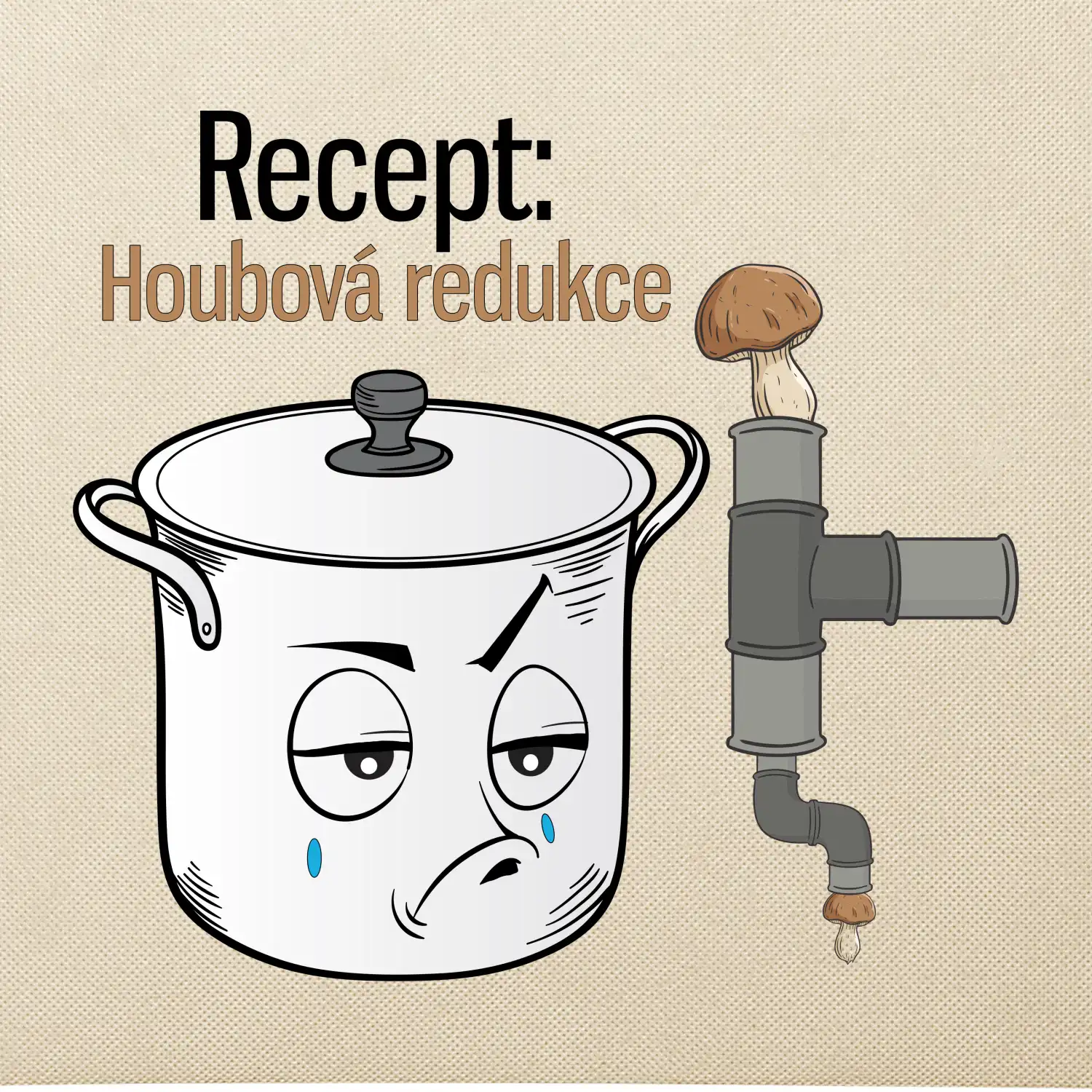 Recept houbová redukce