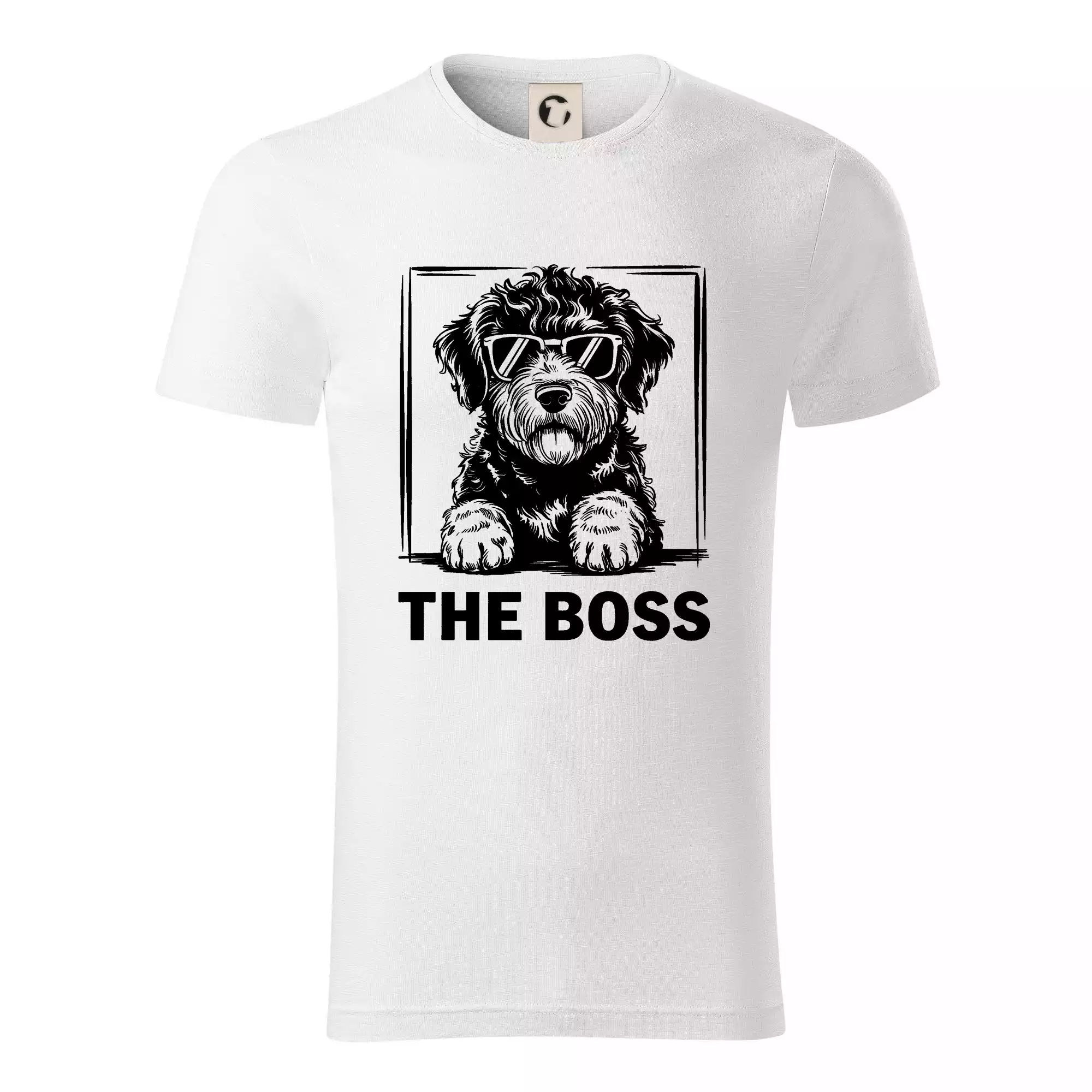 Lagotto romagnolo the boss