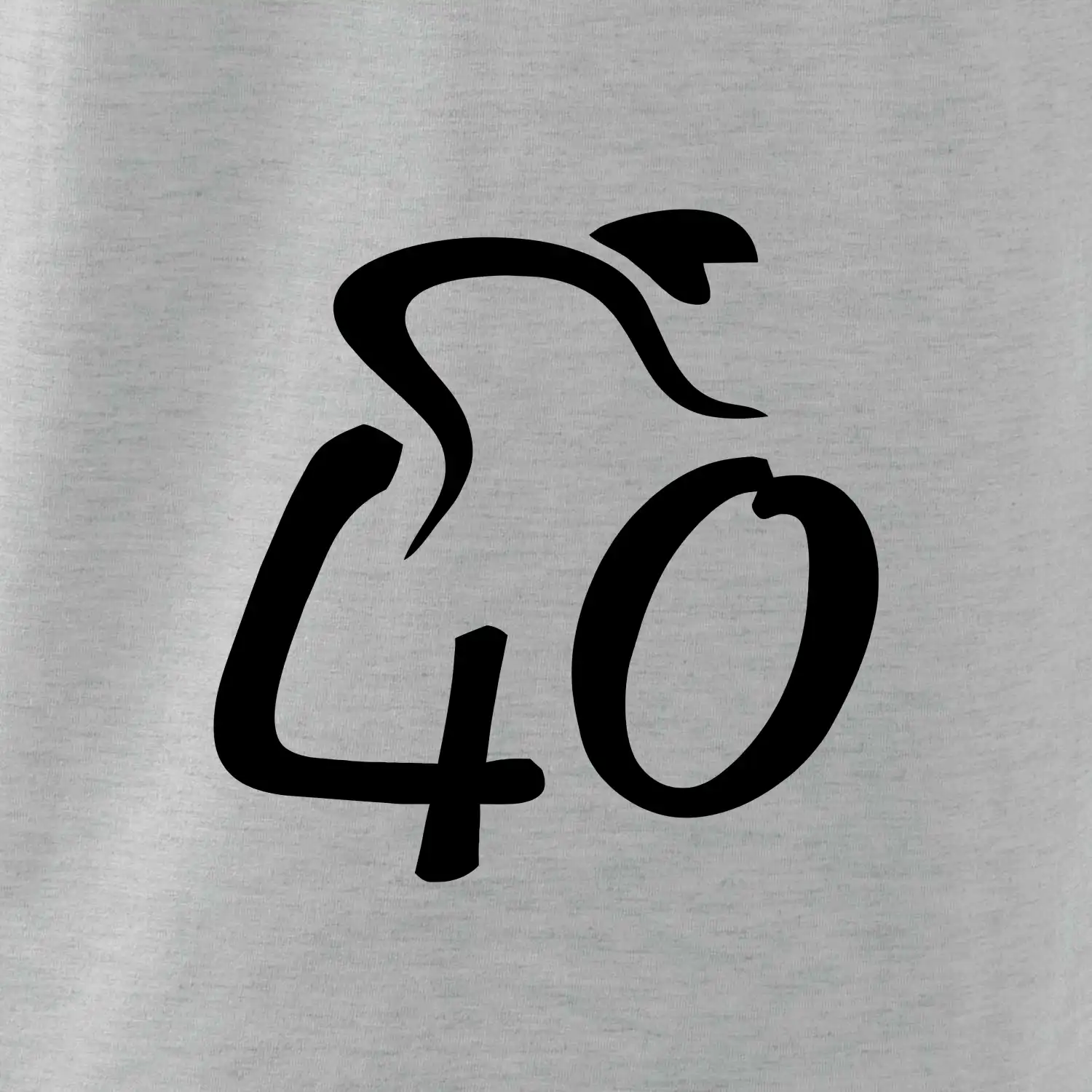 Cyklista slaví čtyřicítku (40)