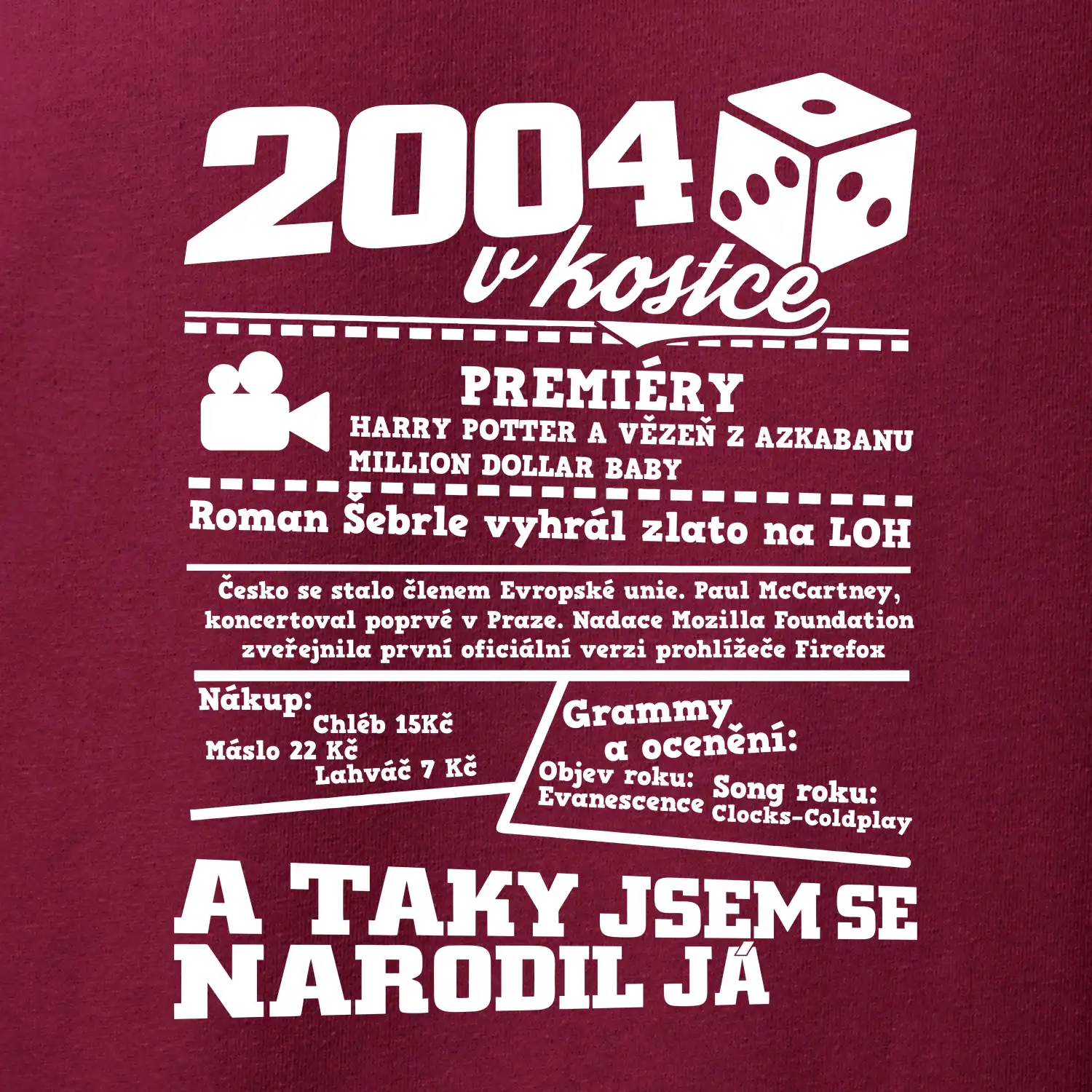 2004 v kostce