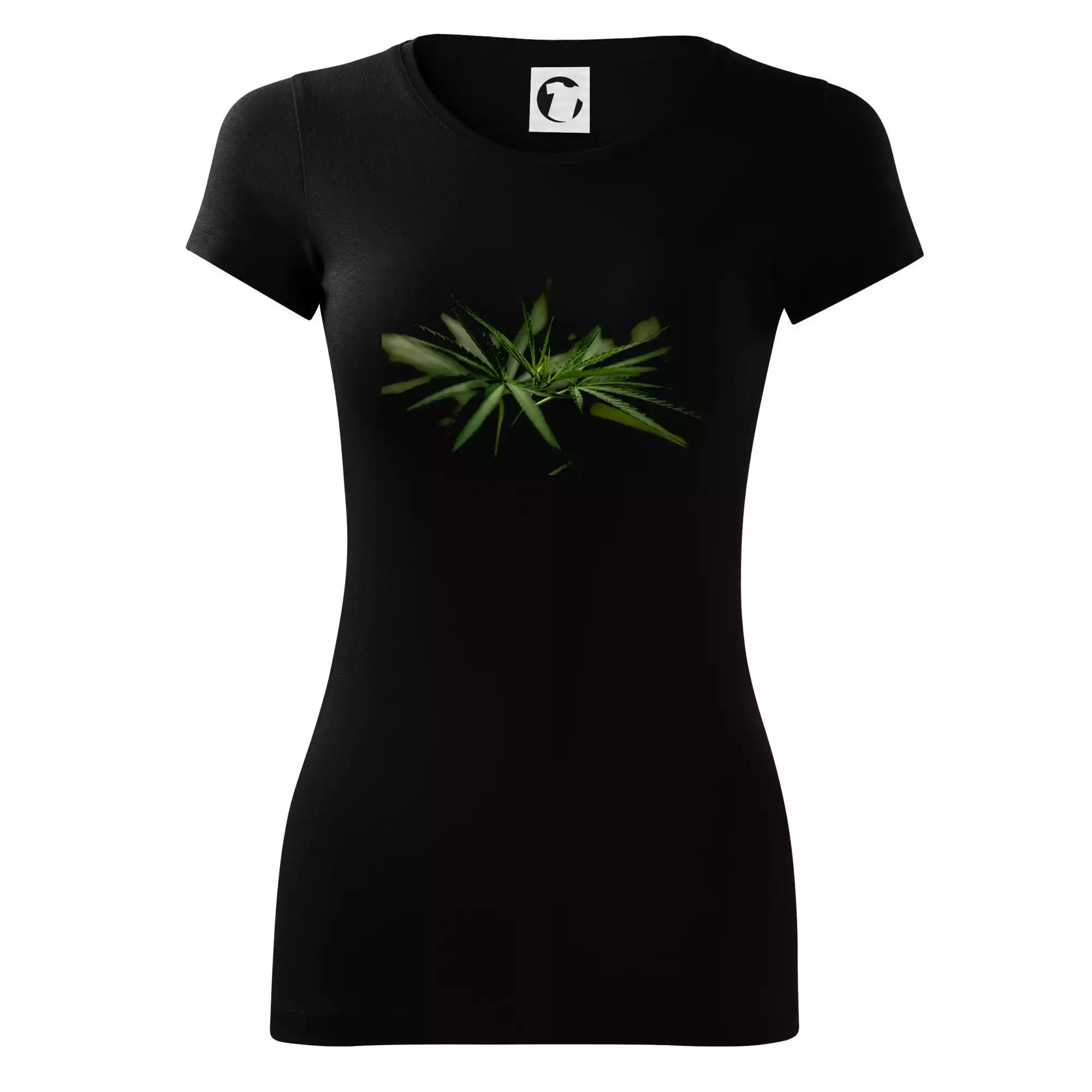 Ganja listy - makro