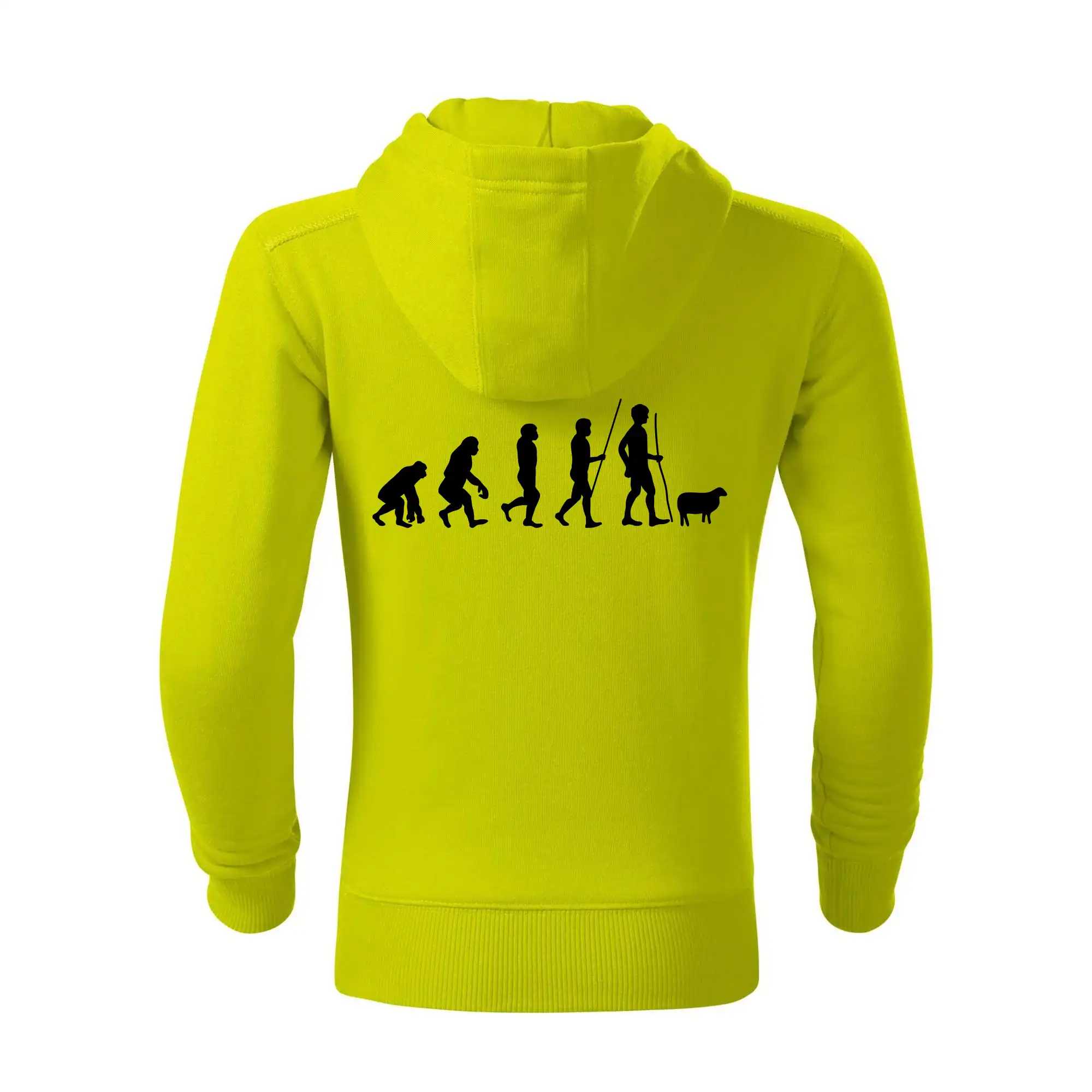 Evoluce pastevec ovcí