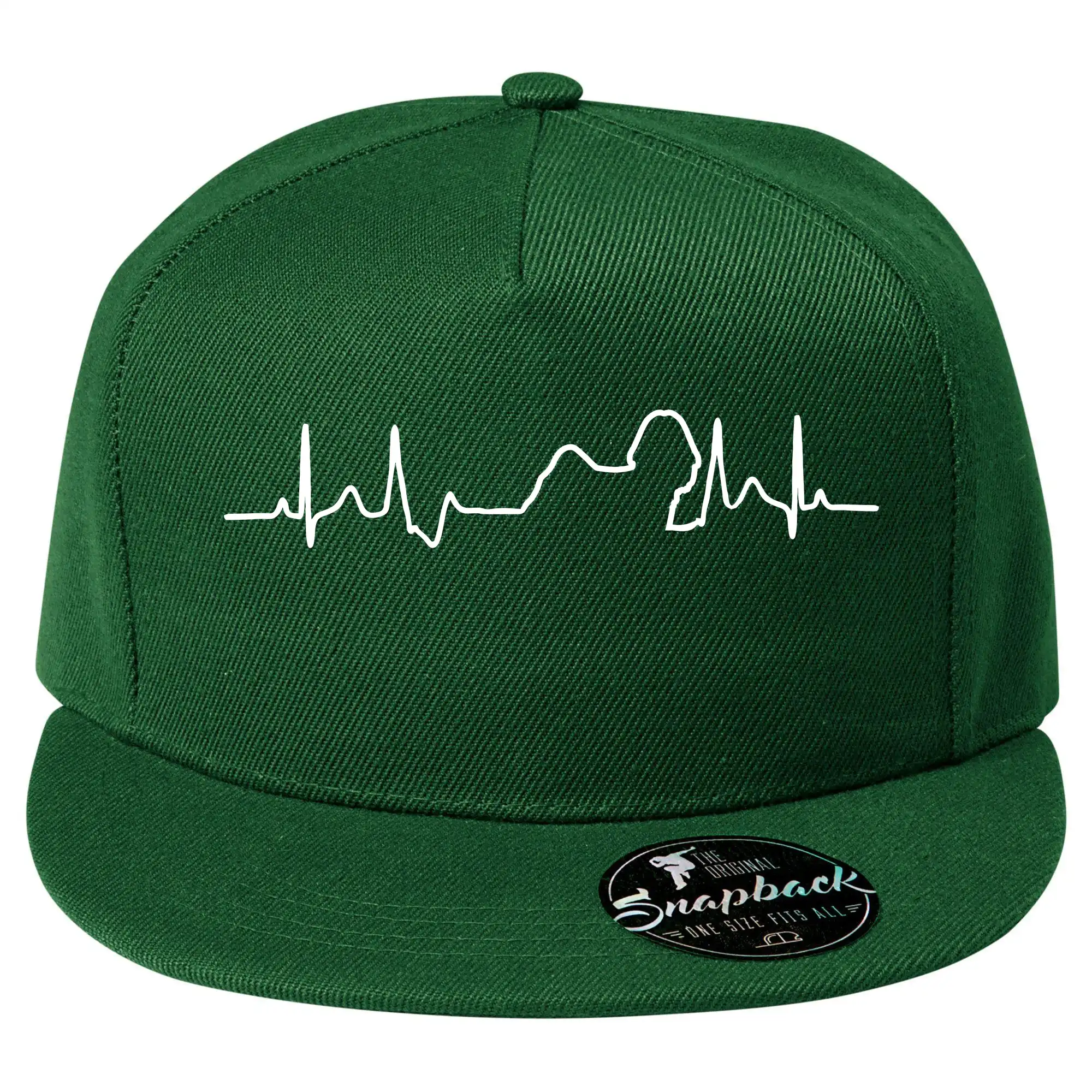 Shih-tzu ekg obrys
