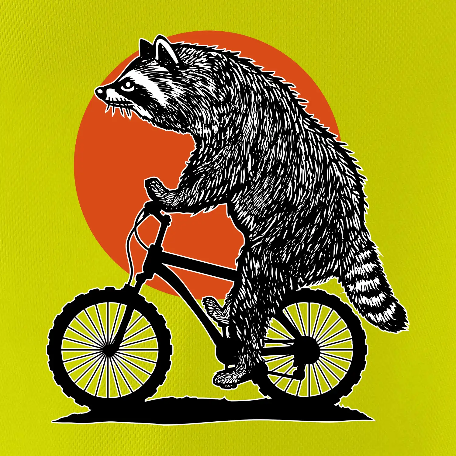 MTB mýval