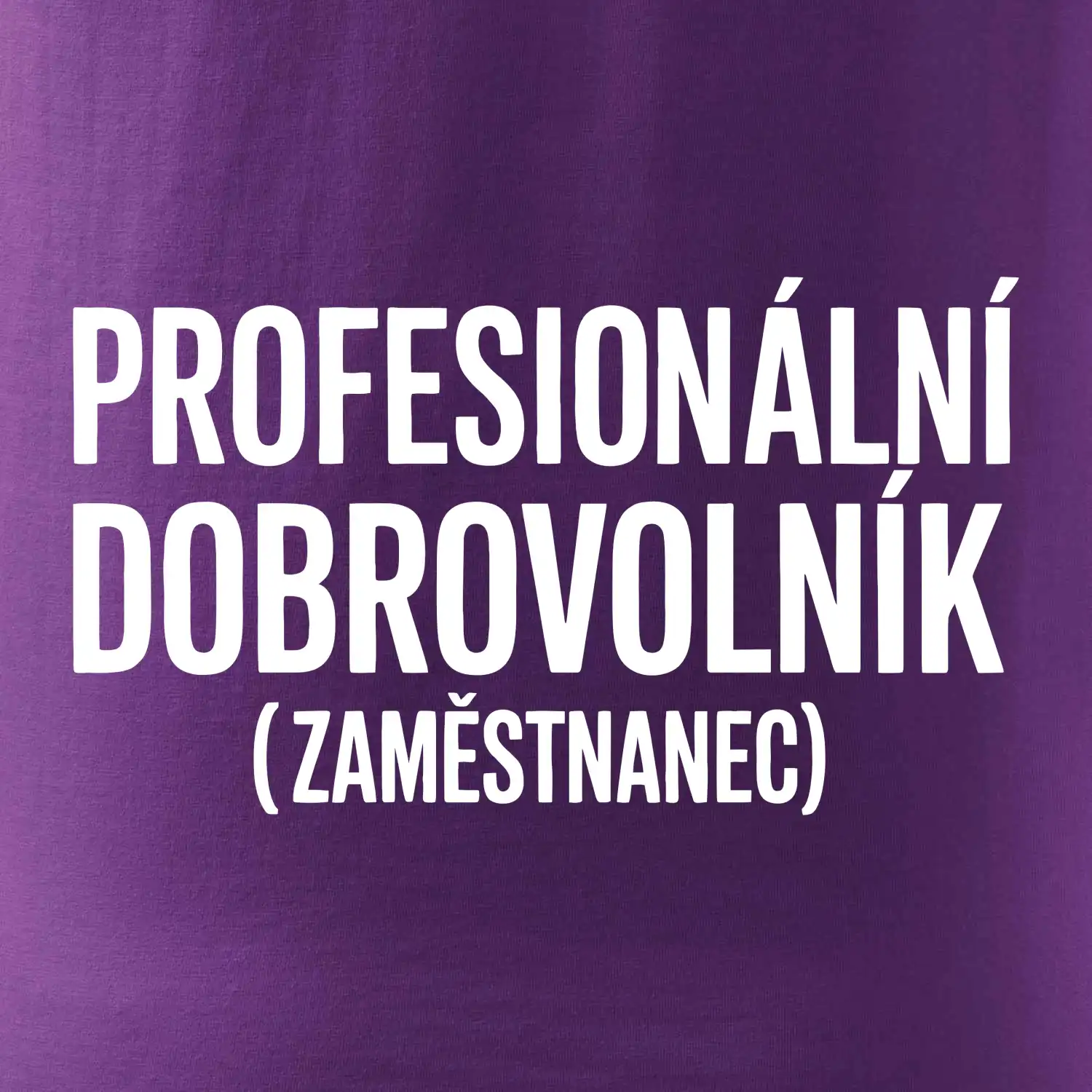 PROFESIONÁLNÍ DOBROVOLNÍK (zaměstnanec)