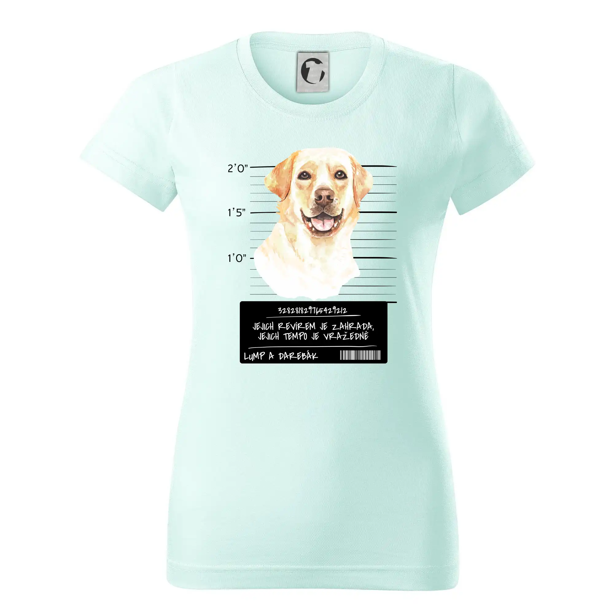 Lump a darebák labrador