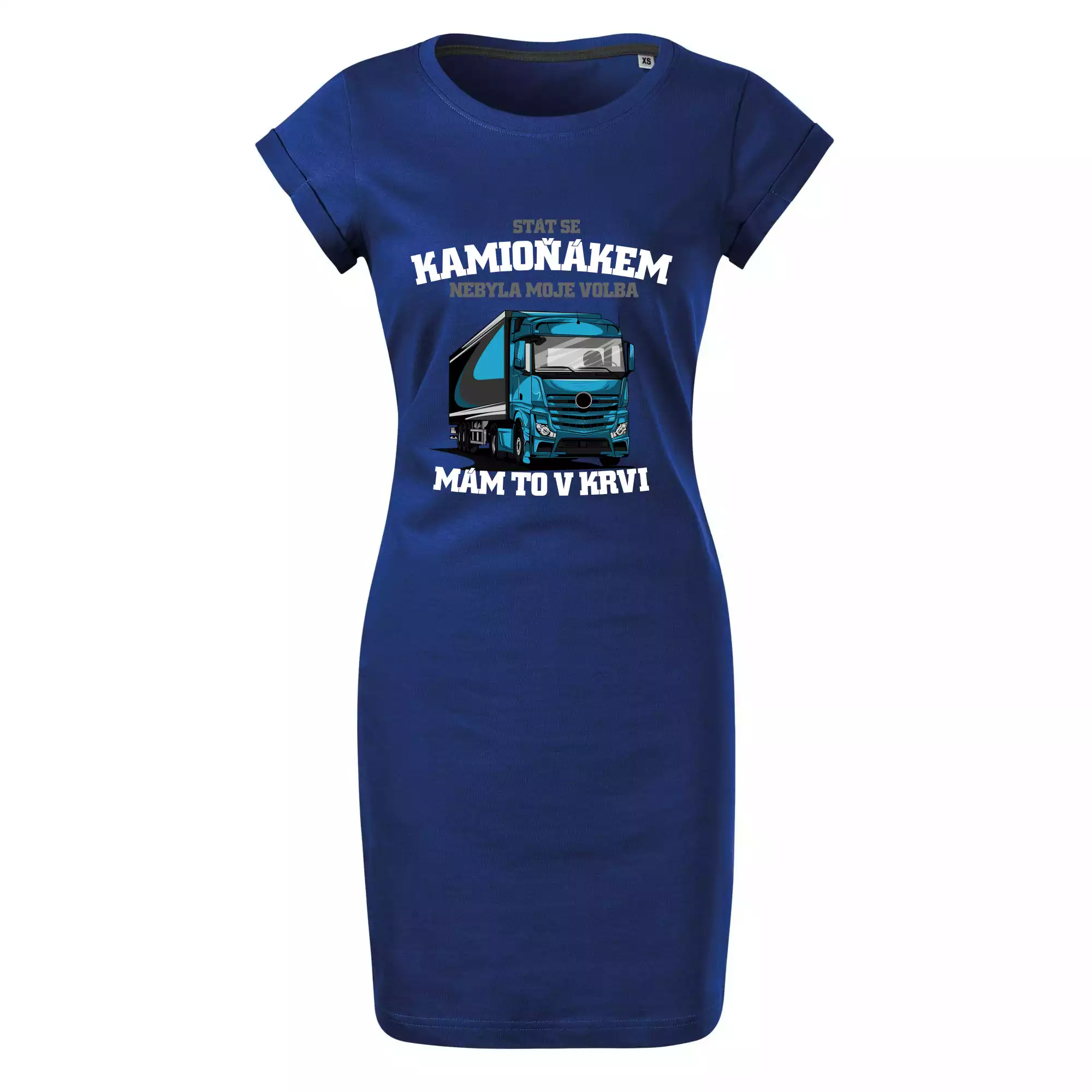 Stát se kamioňákem nebyla moje volba