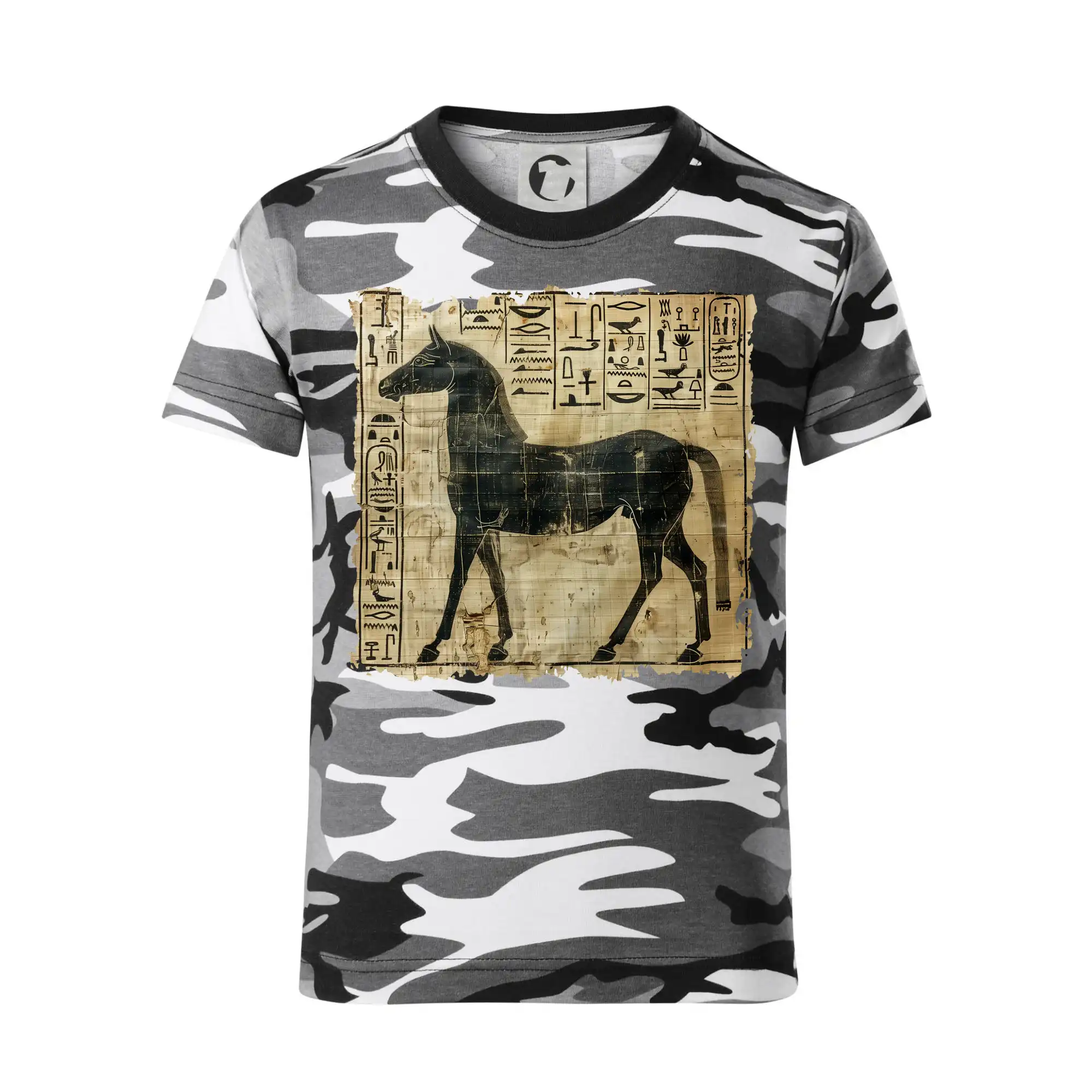 Egyptské hieroglyfy kůň