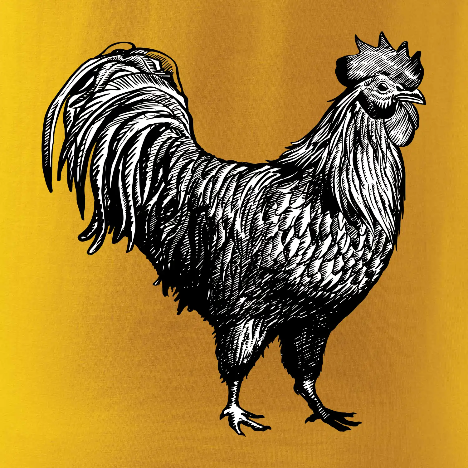 Kohout kreslený černobílý