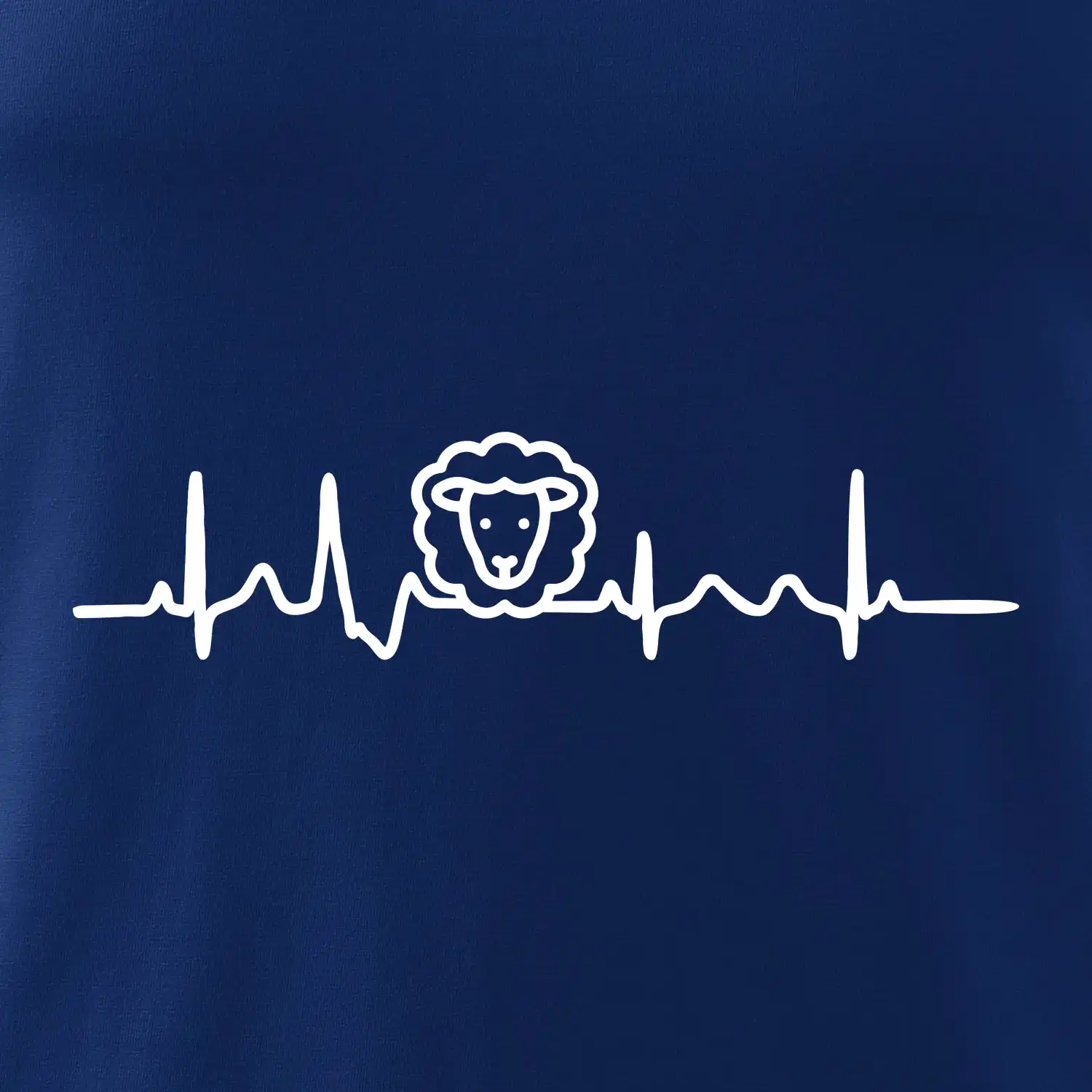Ekg ovce