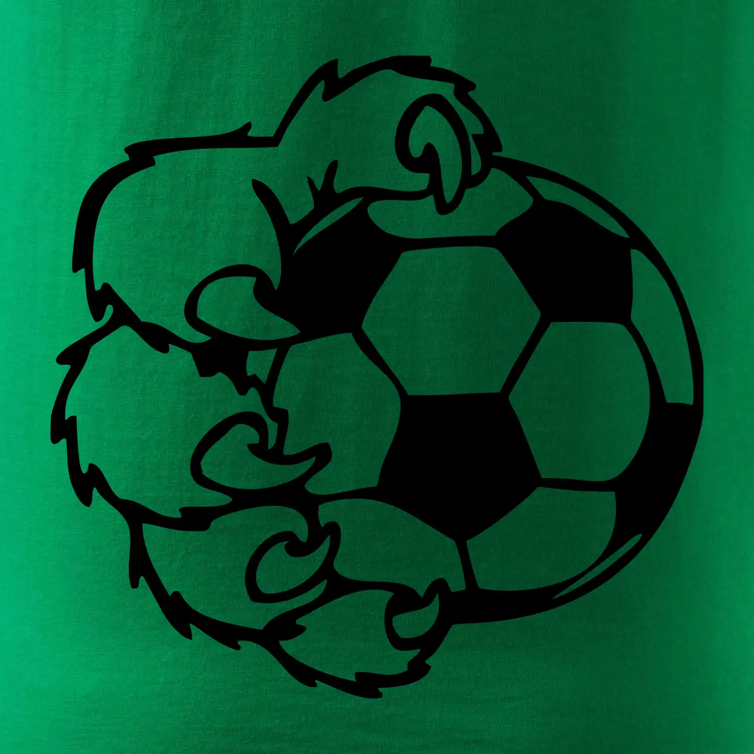 Medvědí tlapa fotbal