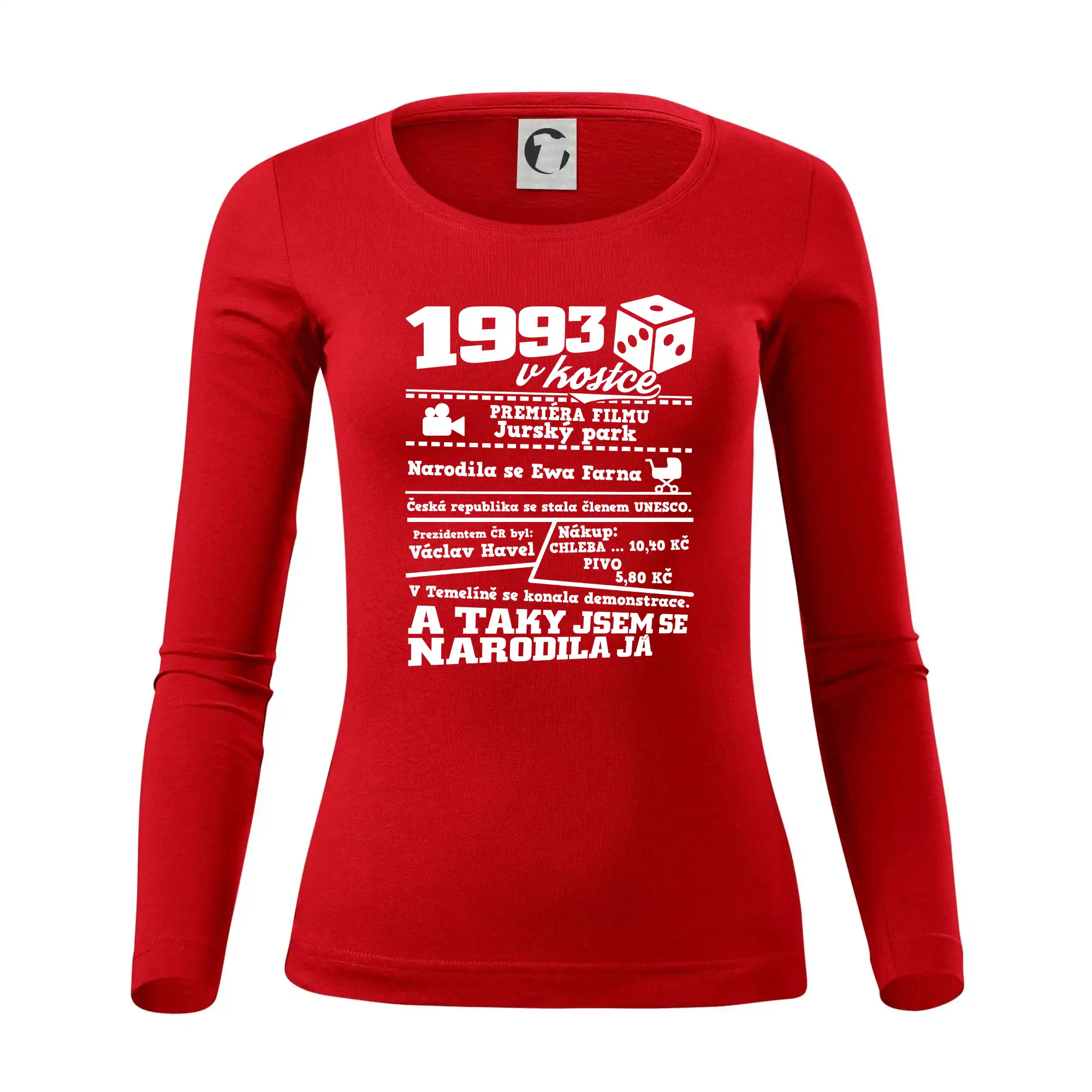 1993 v kostce