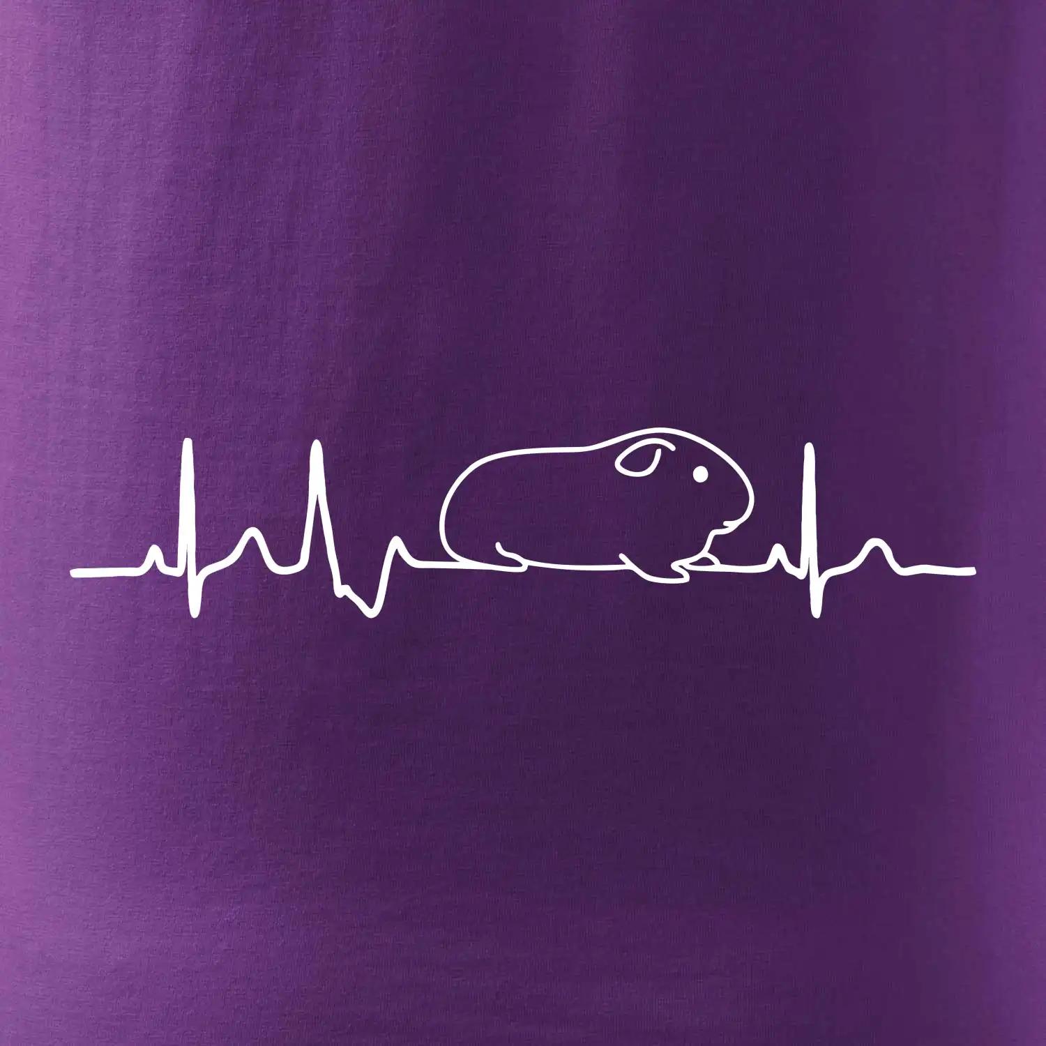 EKG morče