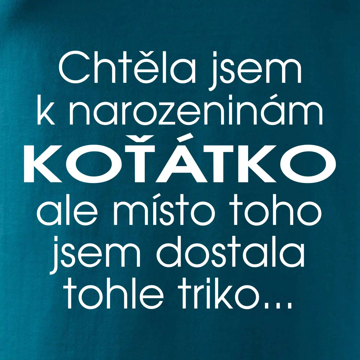 Chtěla jsem dostat k narozeninám koťátko