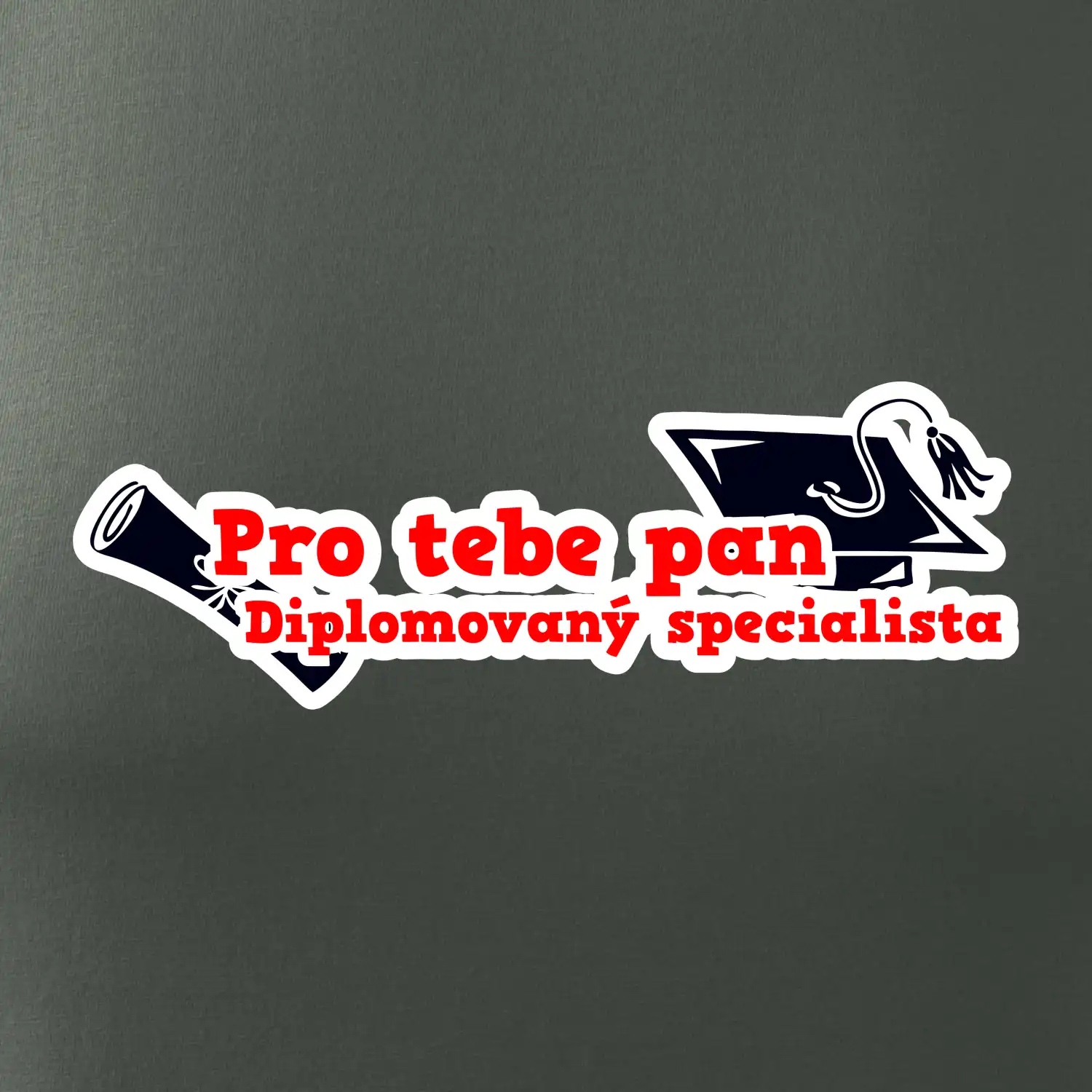 Pro tebe pan Diplomovaný specialista