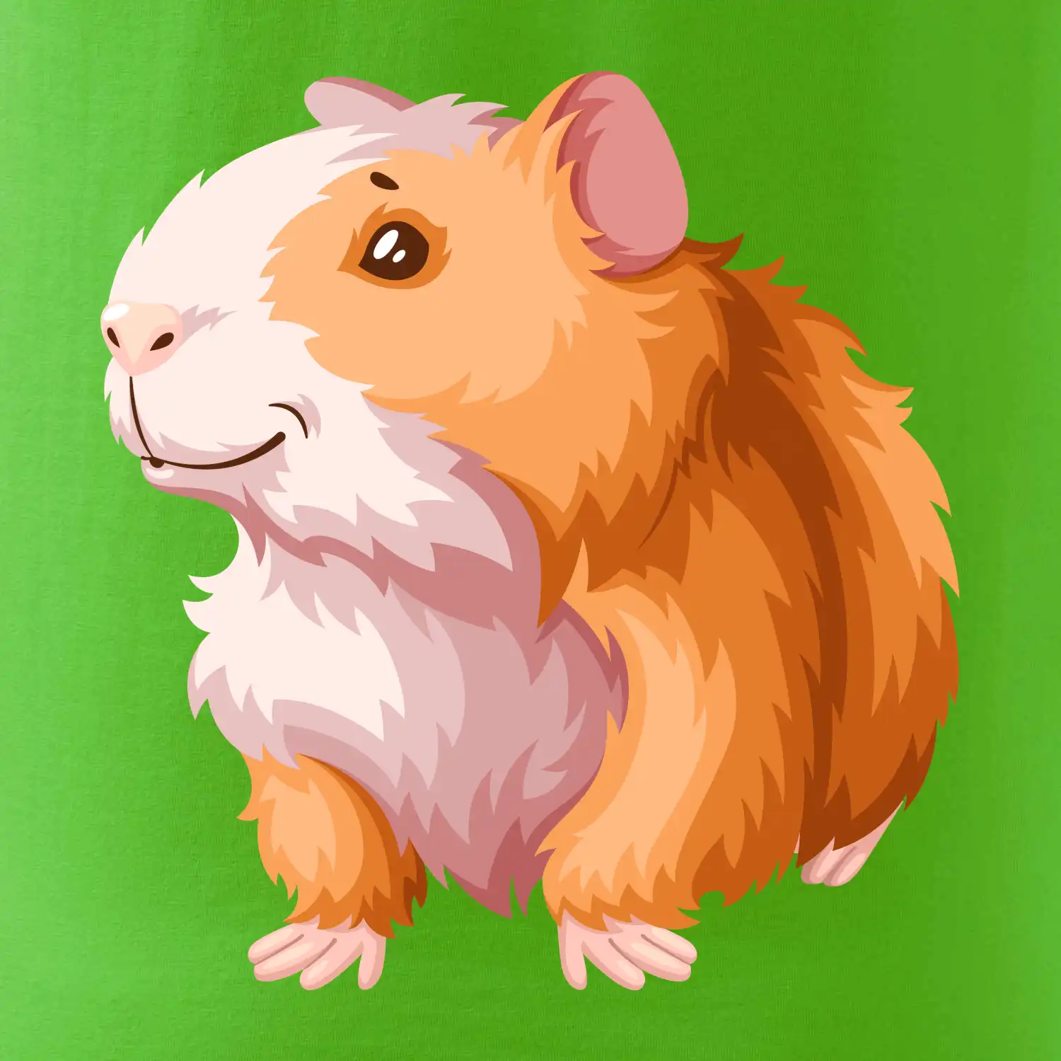 Morče - kreslené, bílo oranžové