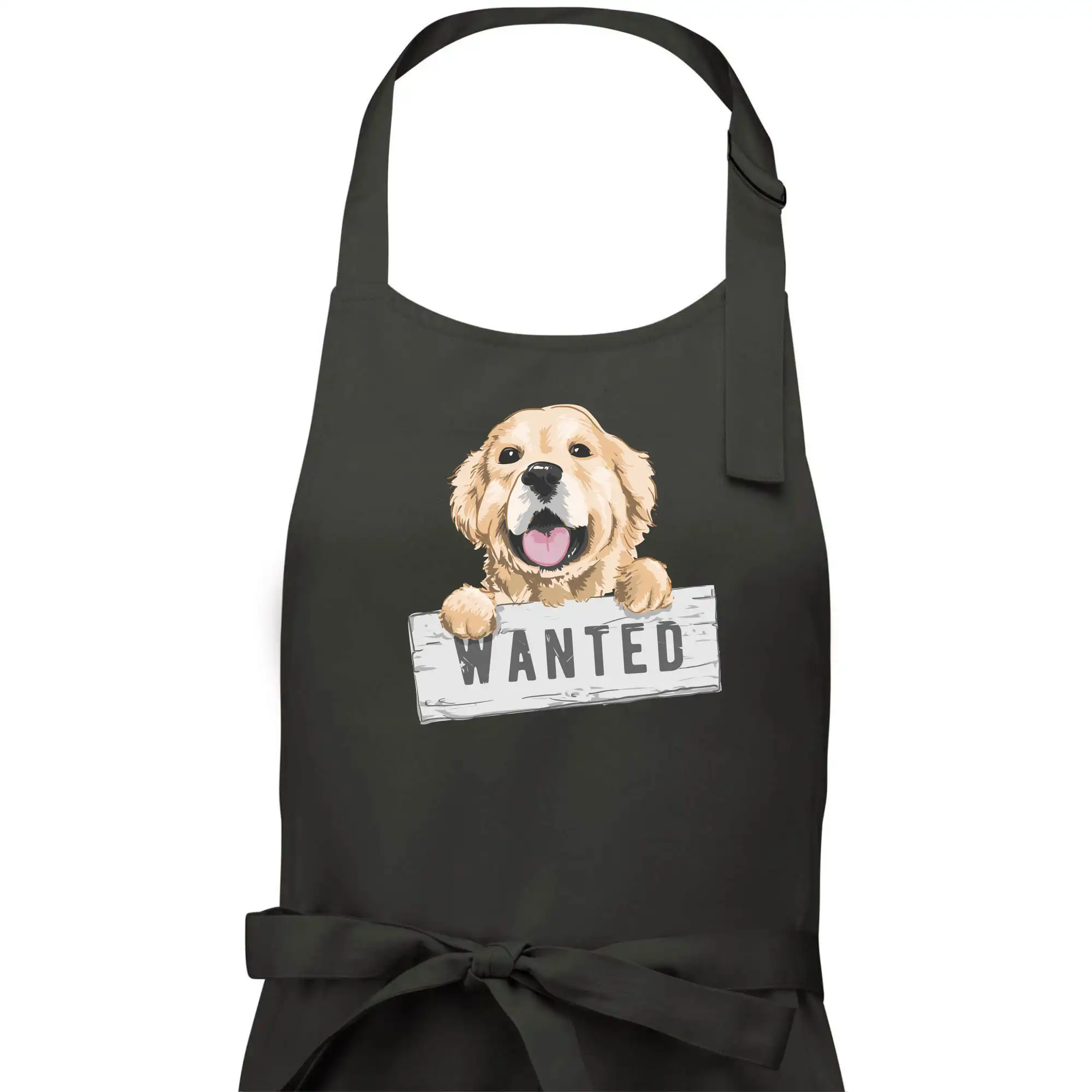 Zlatý retriever - štěně wanted