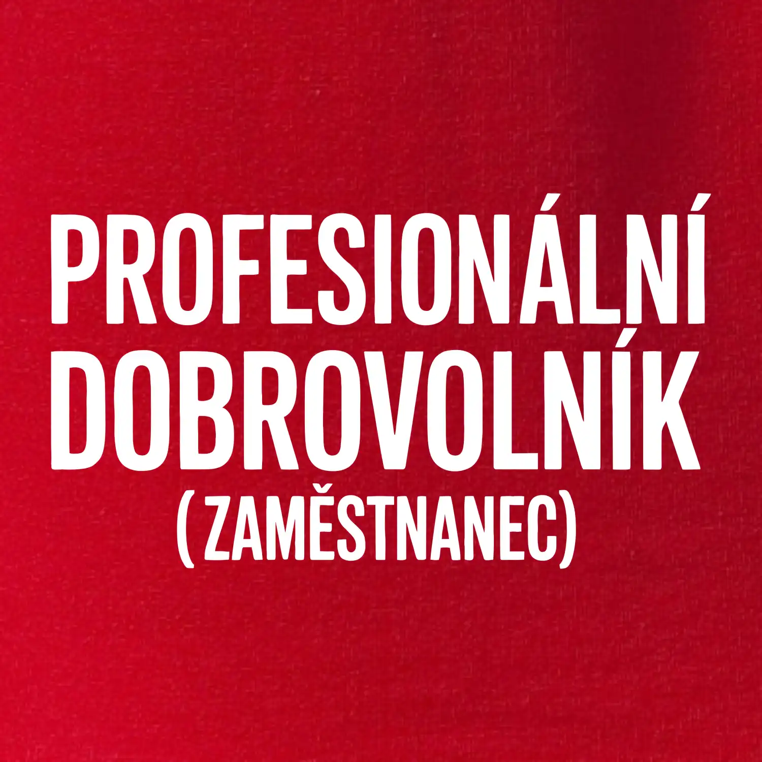 PROFESIONÁLNÍ DOBROVOLNÍK (zaměstnanec)