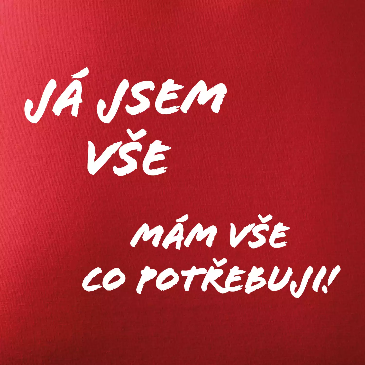 Nápis mám vše co potřebuji