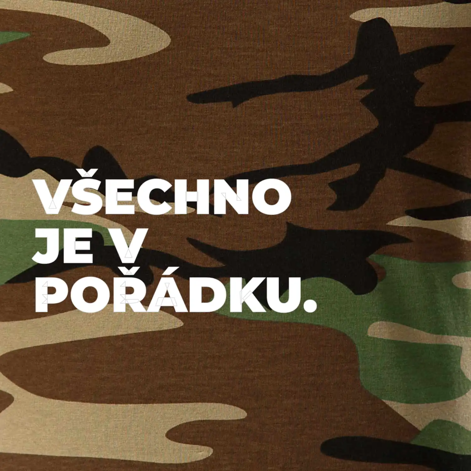 VŠECHNO JE V POŘÁDKU.