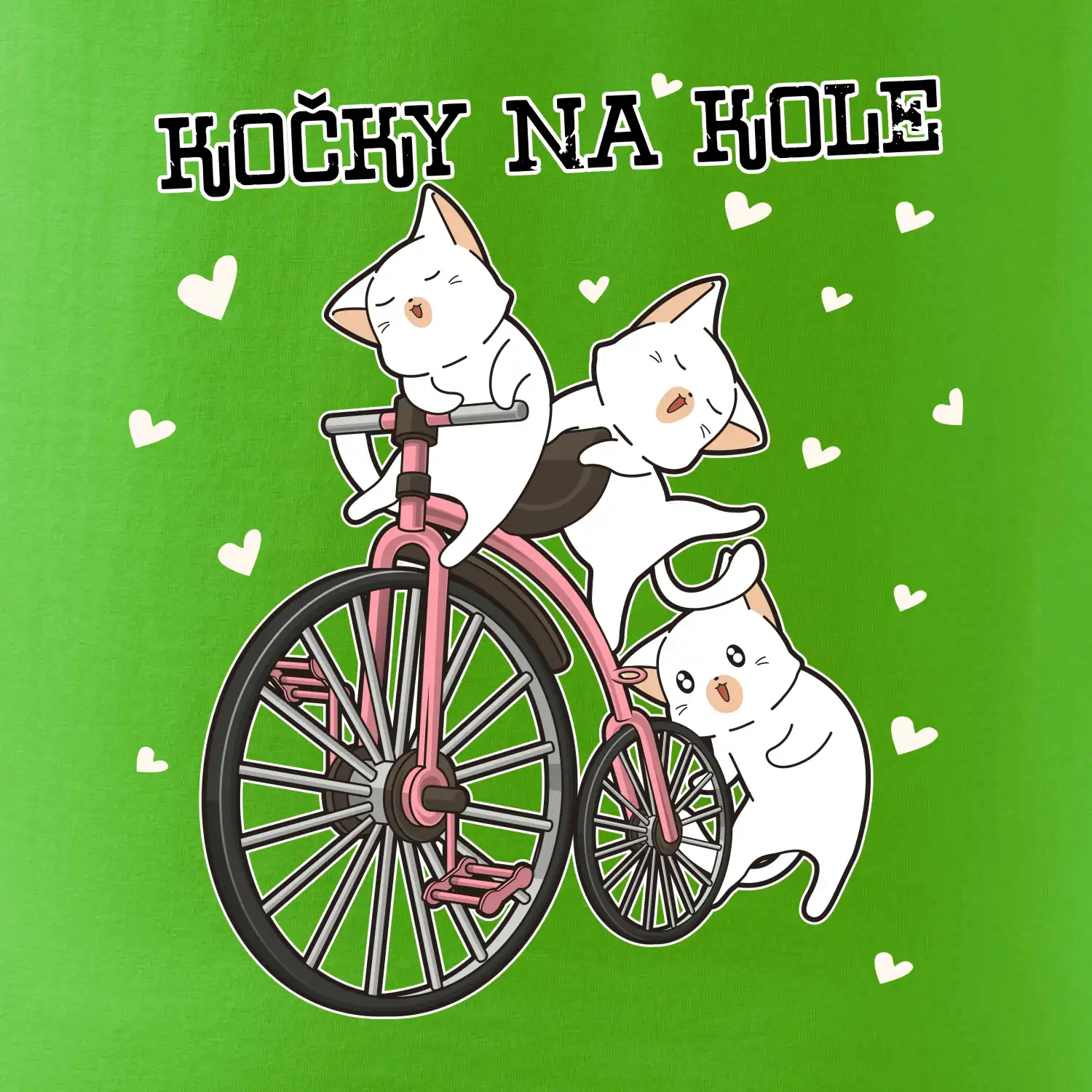 Kočky na kole