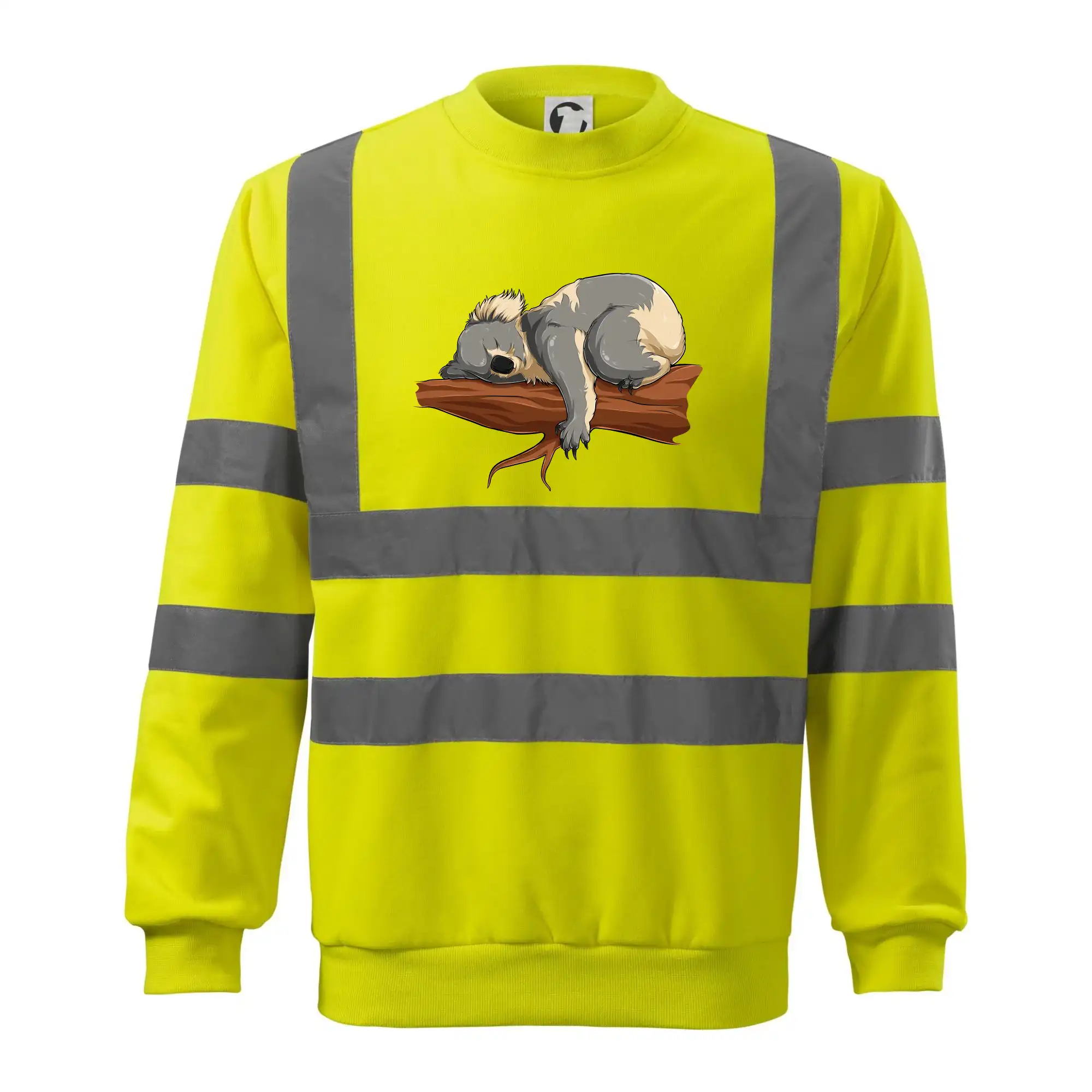 Koala na větvi