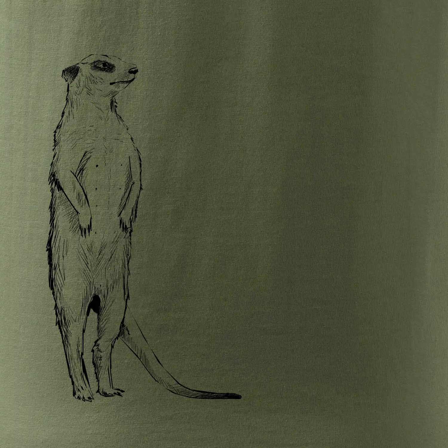 Surikata černá kresba