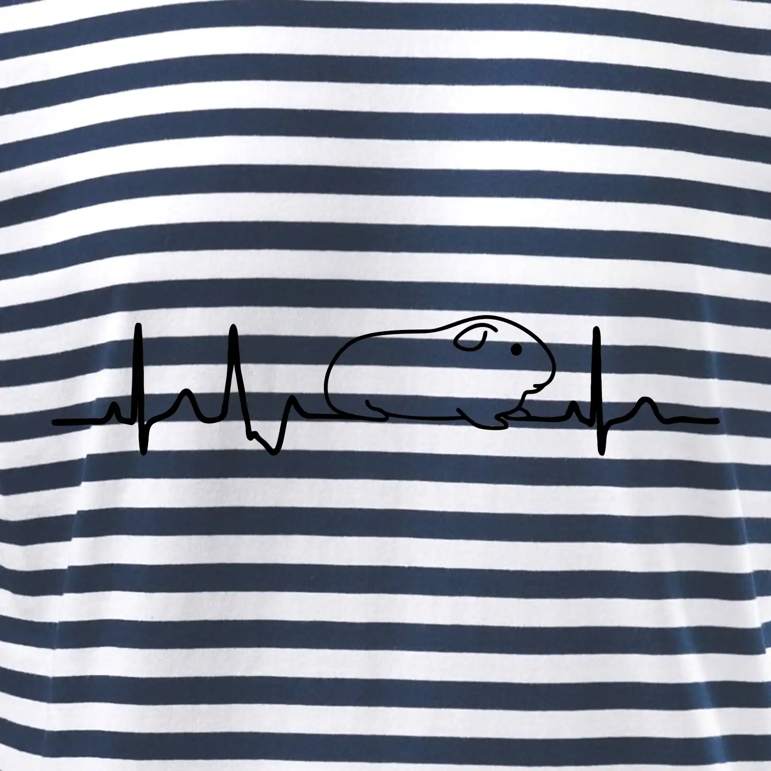EKG morče