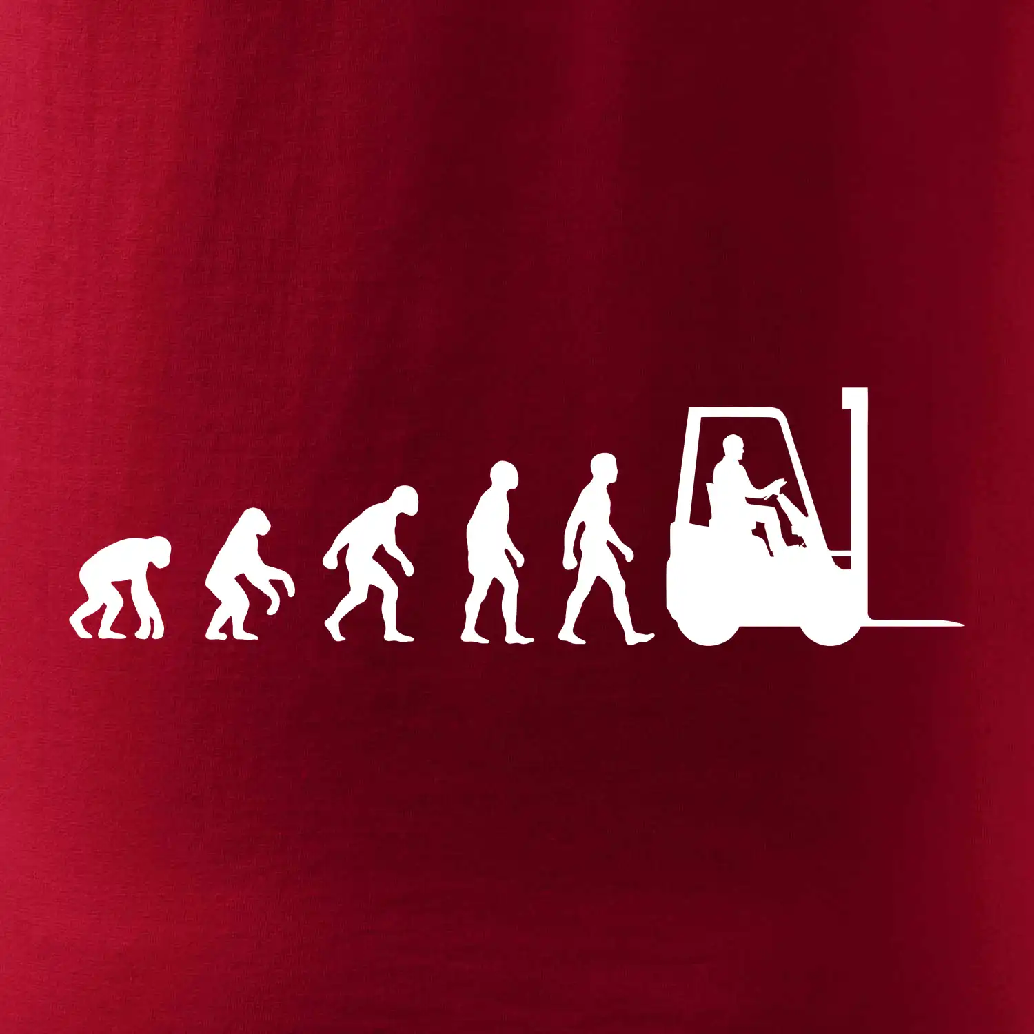 Evoluce ještěrka