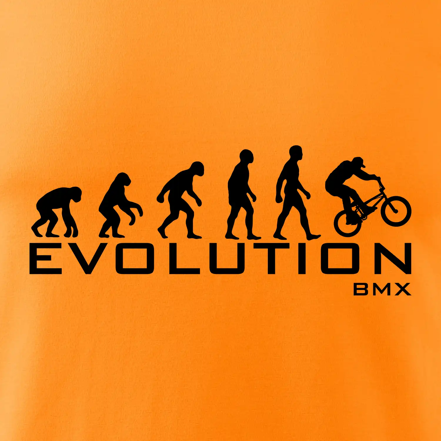 Evoluce BMX