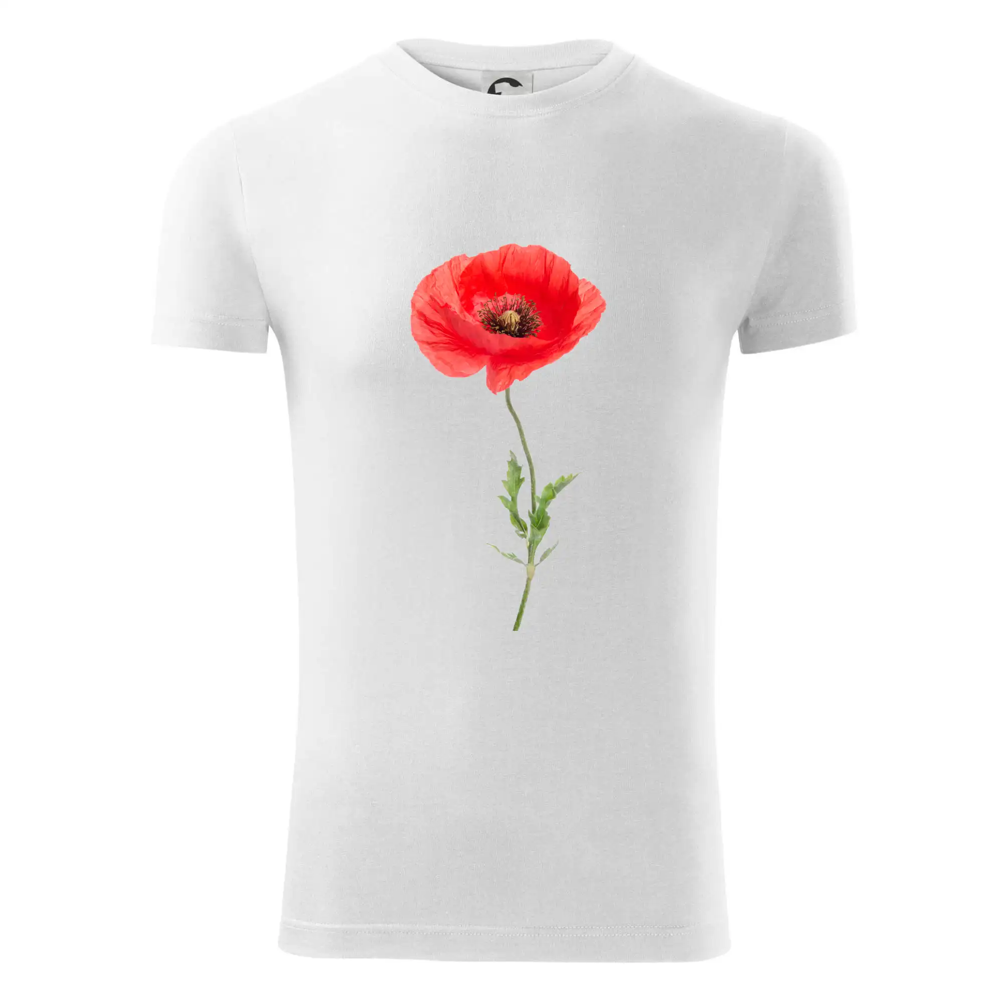 Vlčí mák - kreslený