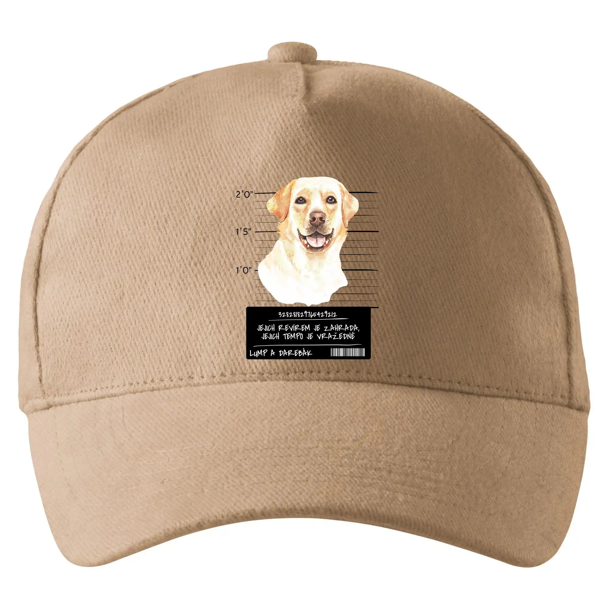 Lump a darebák labrador