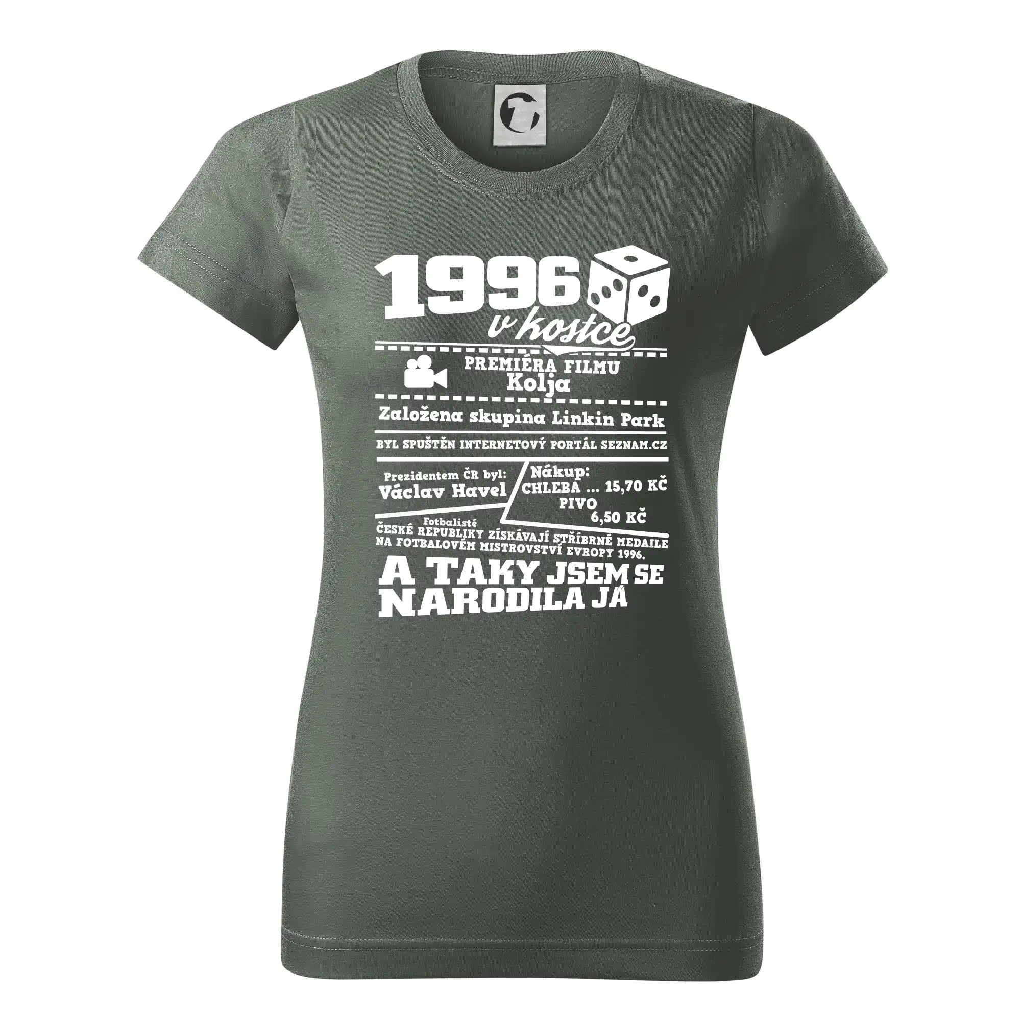 1996 v kostce