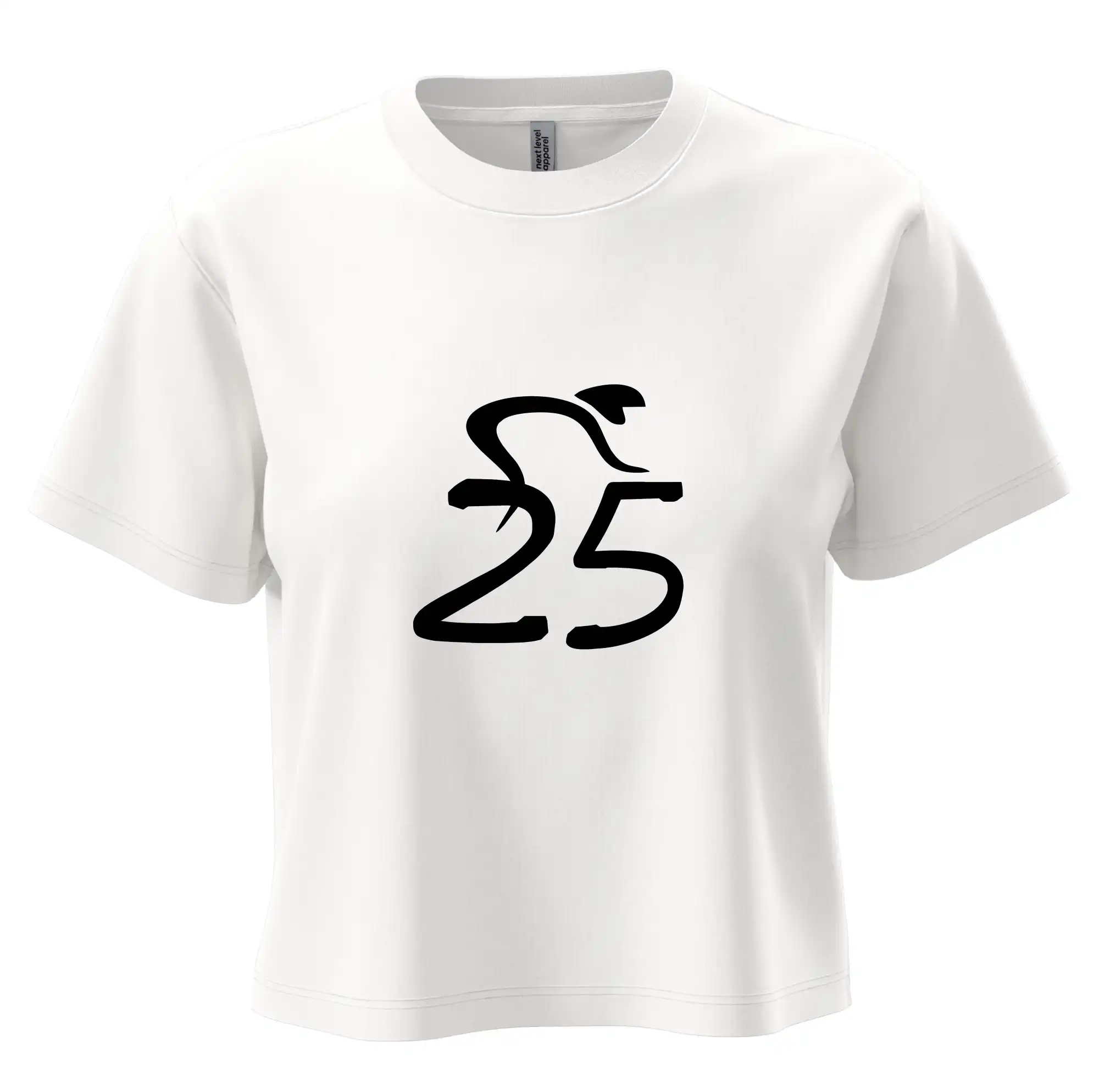 Cyklista slaví pětadvacítku (25)