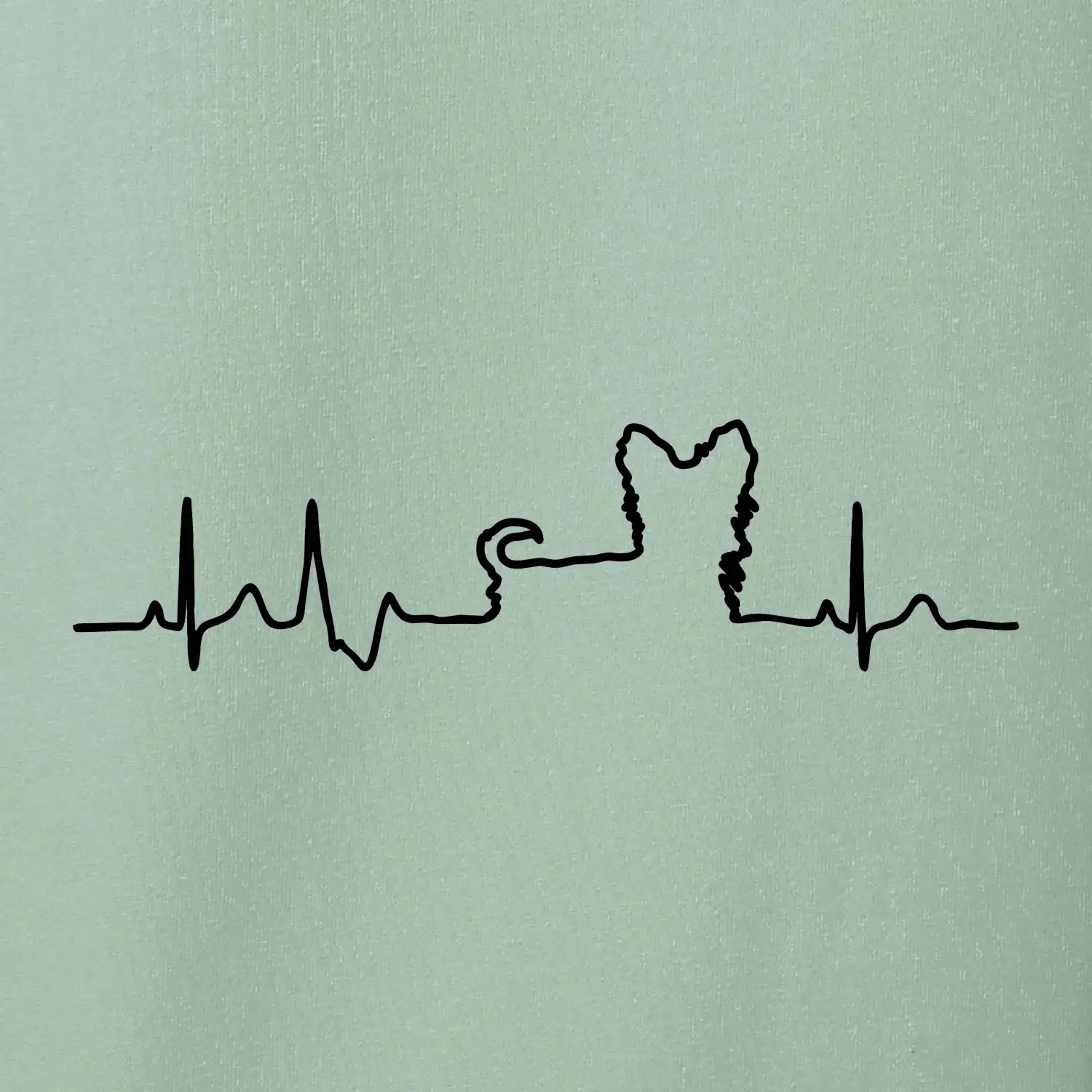 Jorkšírský teriér EKG