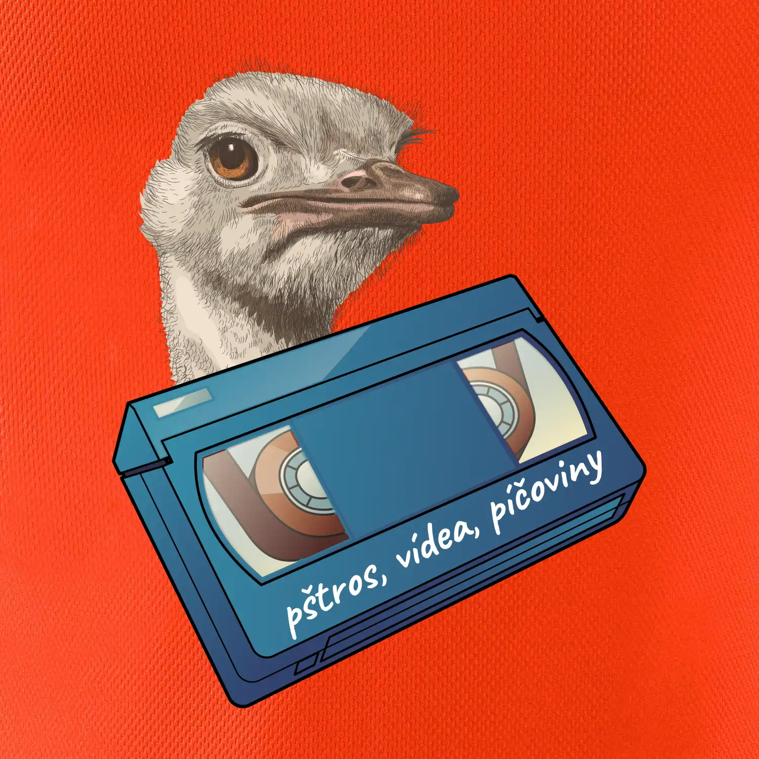 Pštrosi vídea