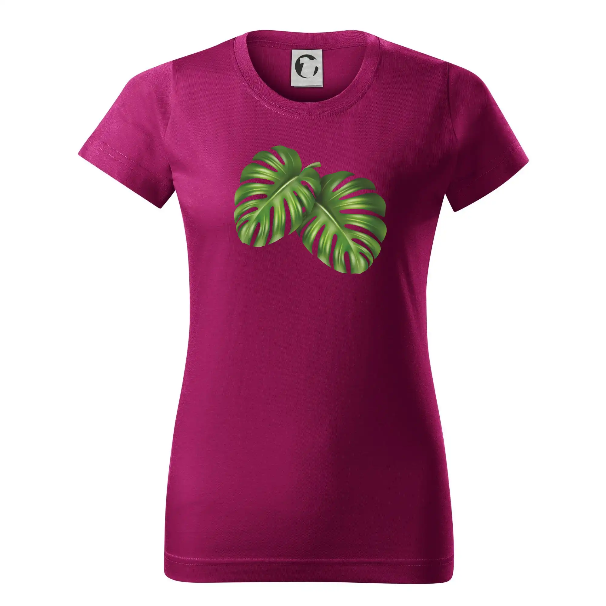 Monstera - dva listy