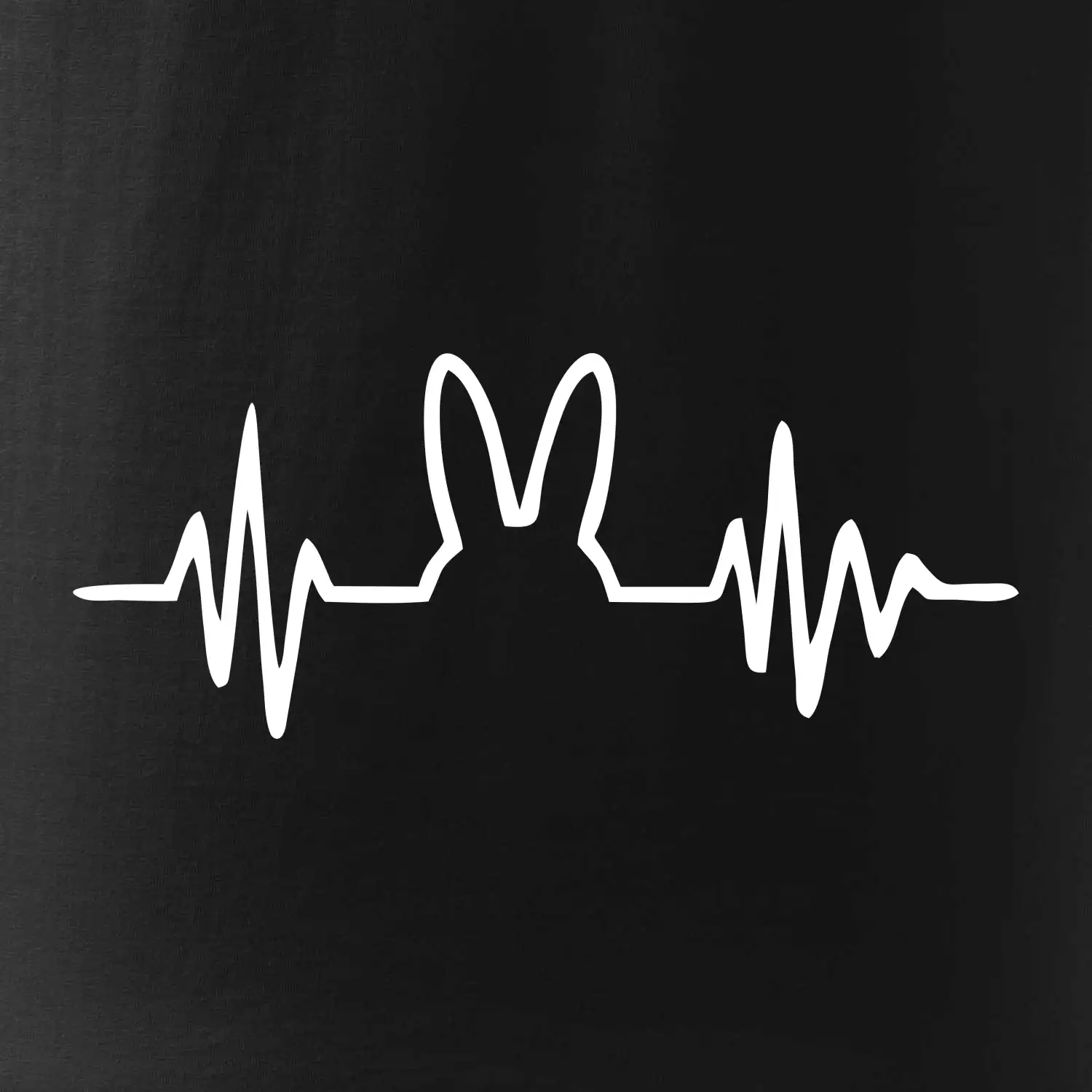 EKG zajíc
