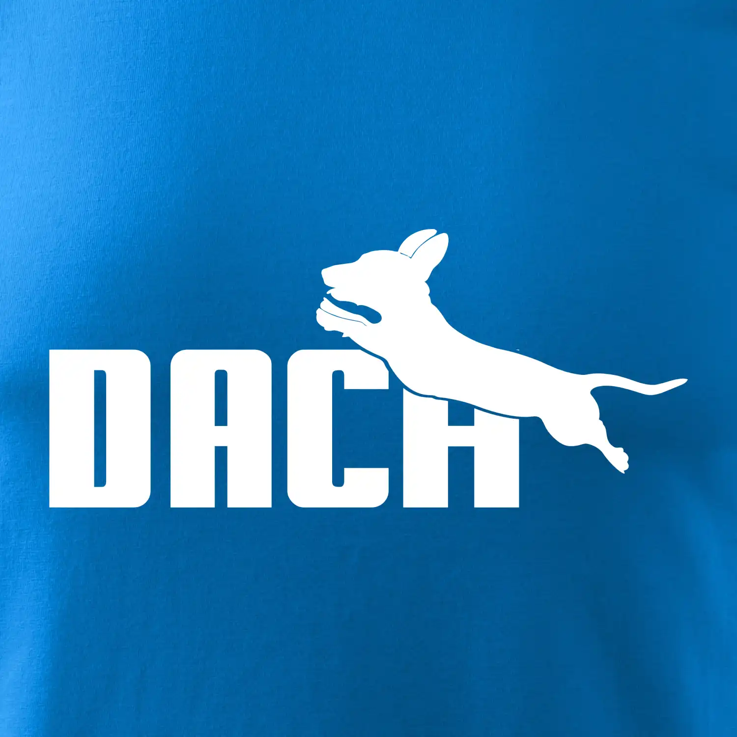 Jezevčík Dach